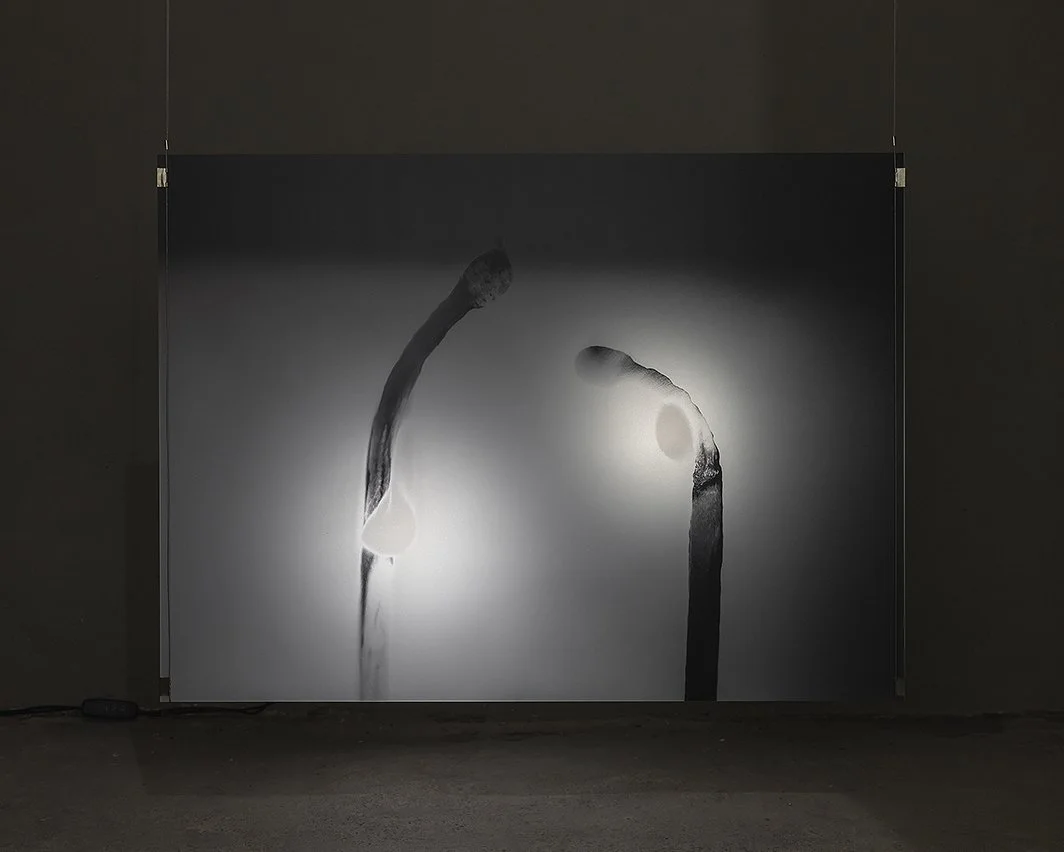 14_Twin Flames_2025.jpg