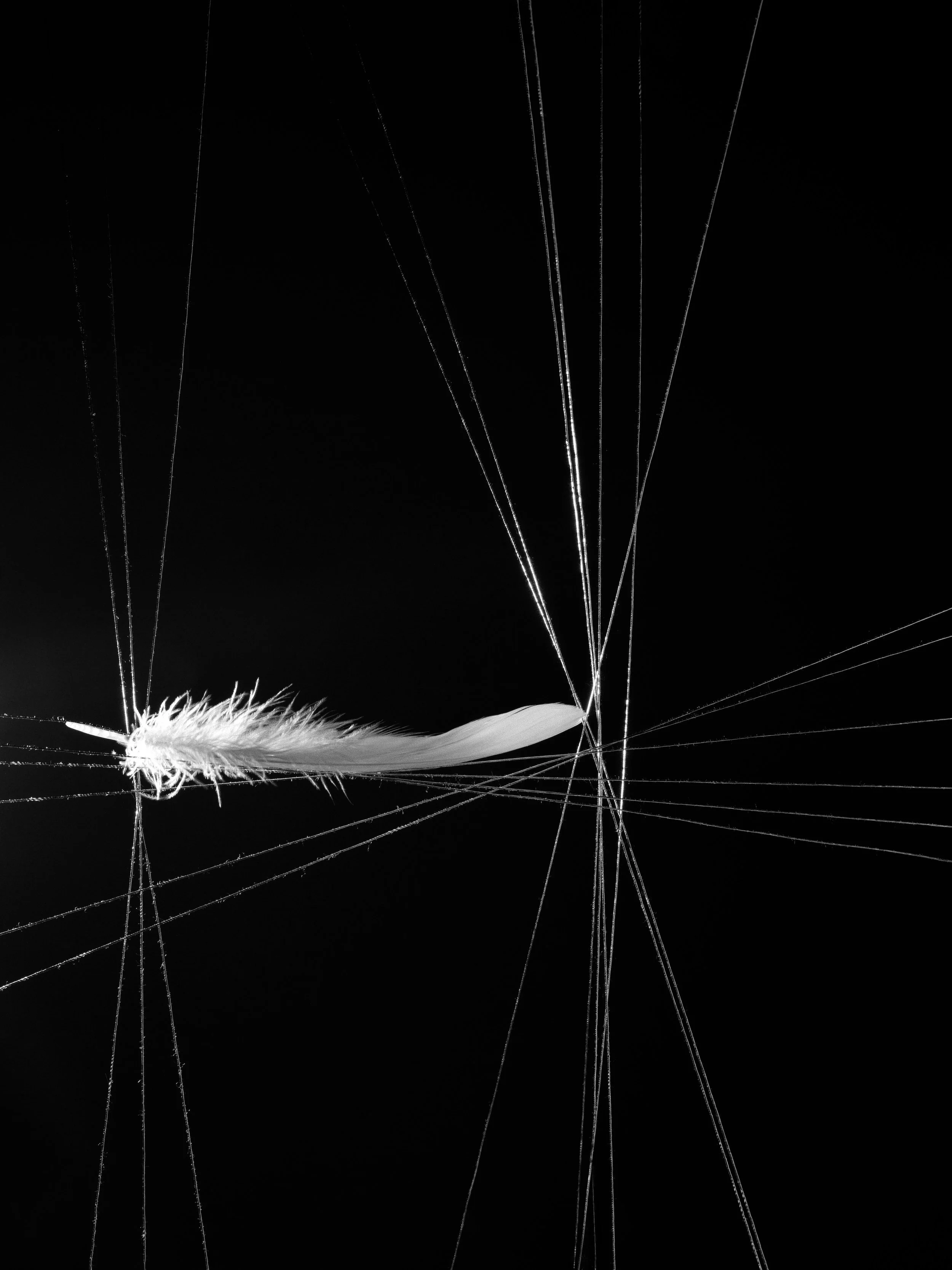 04-2_Free Fall (By Force).jpg