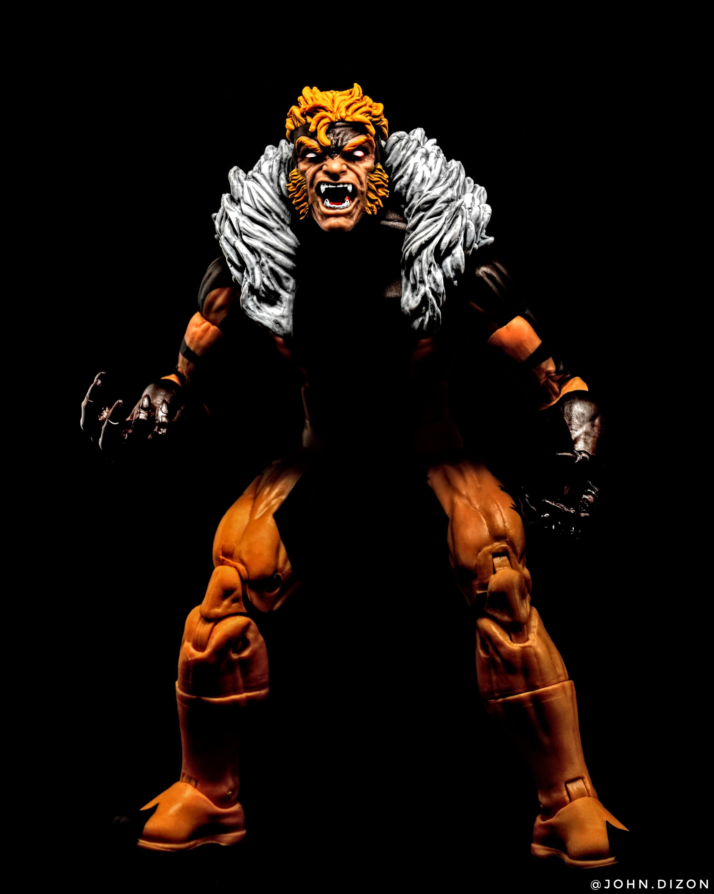 Sabretooth - IG.jpeg