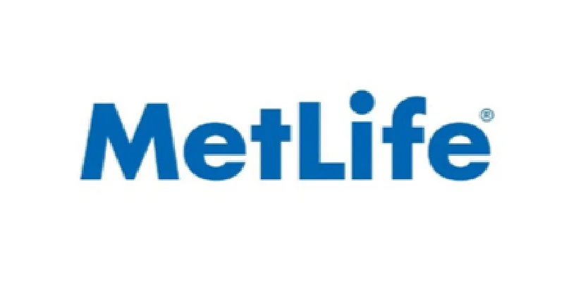 MetLife Auto &amp; Home 					