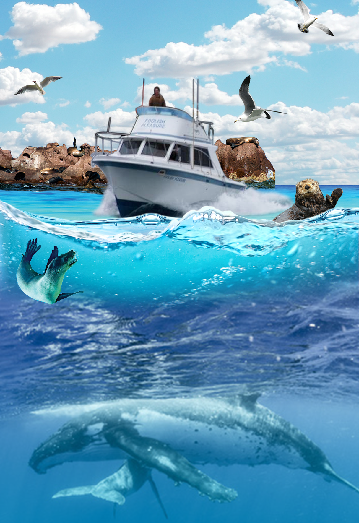 Fishing_contest_RGB-F9 Web.png