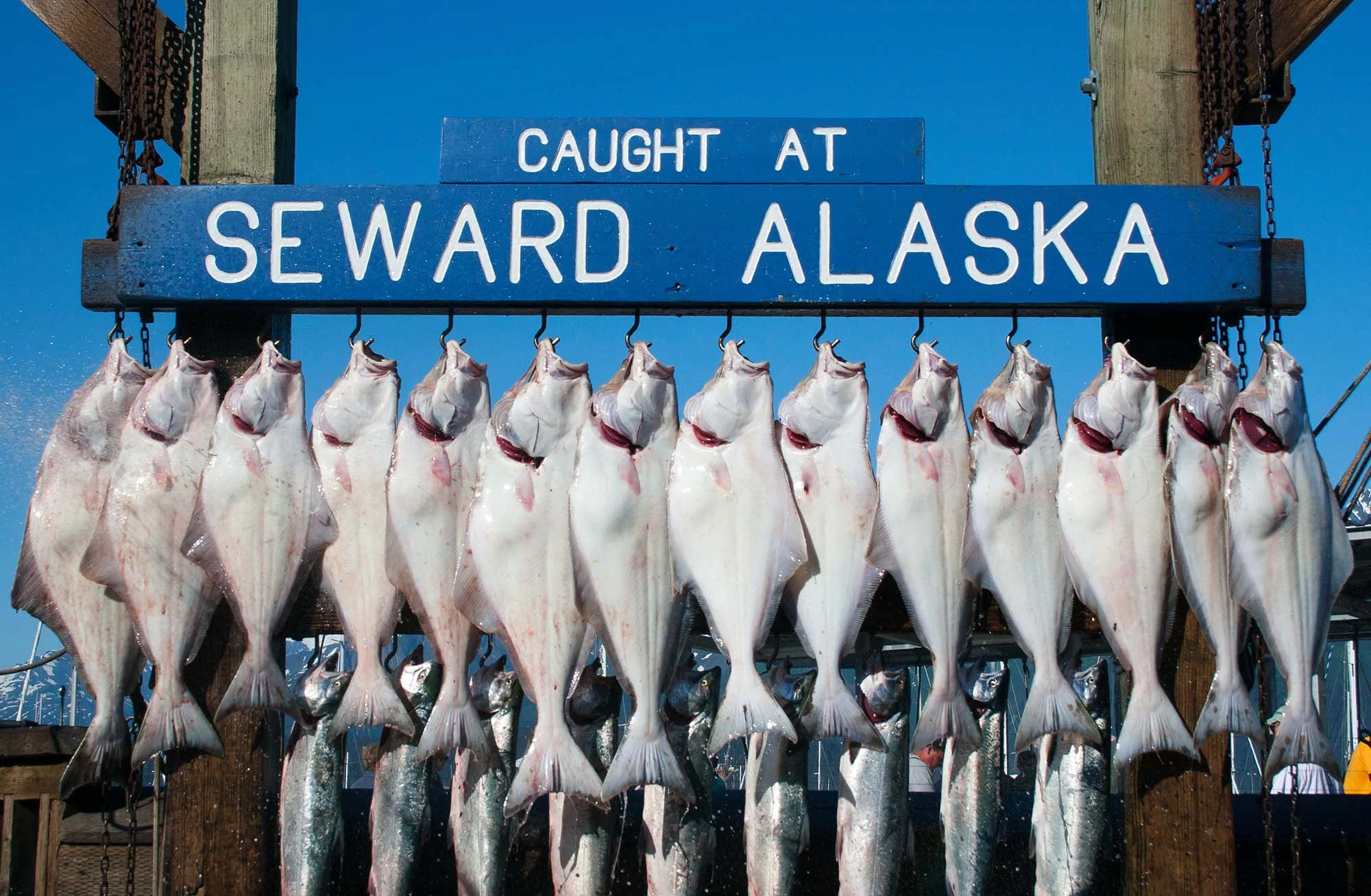 Fotolia_52421679_Subscription_Monthly_L 72dpisWEB.jpg