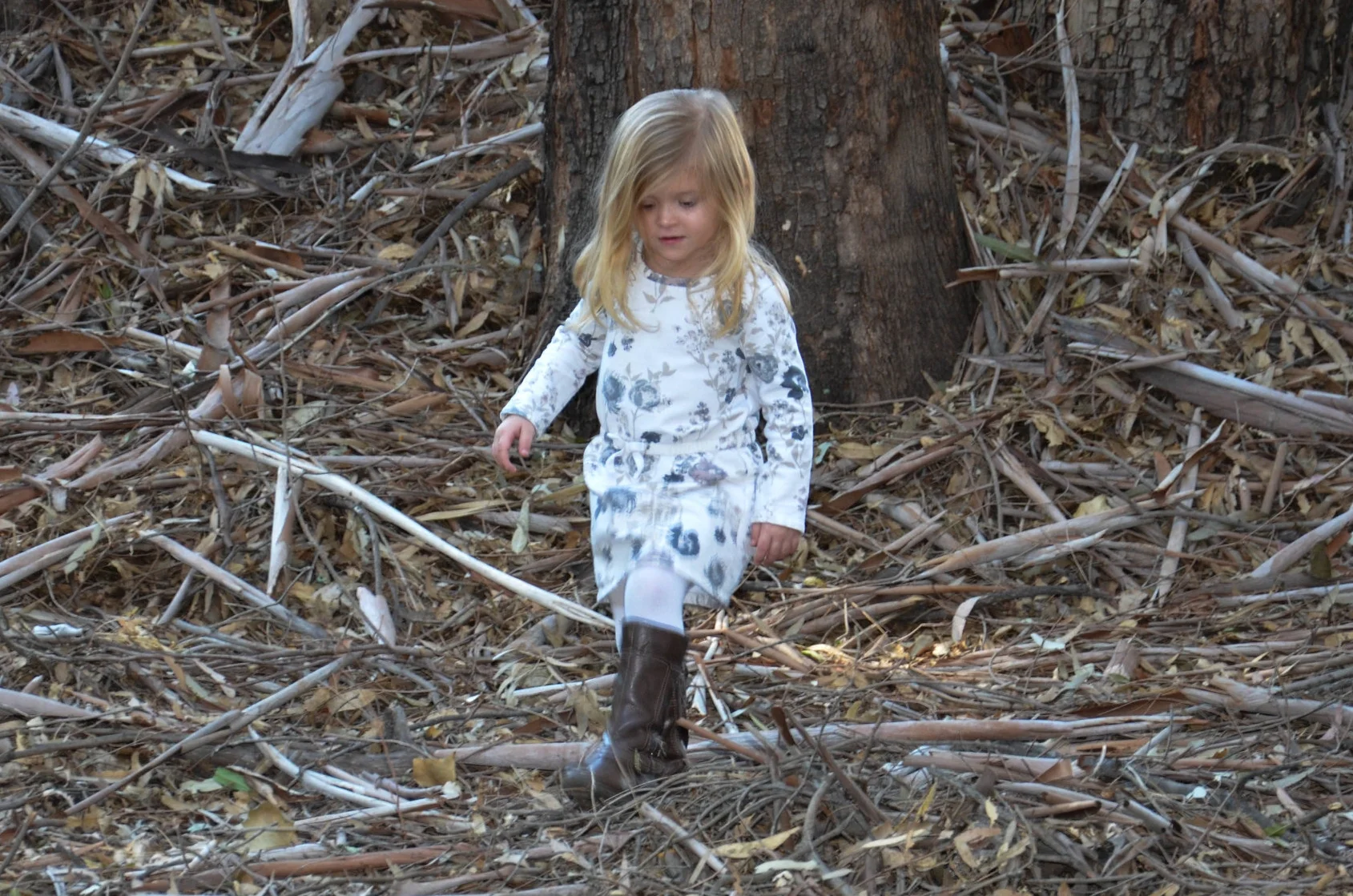 My Why- Meet Paisley.JPG