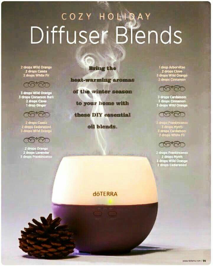 Holiday diffuser blends.jpg