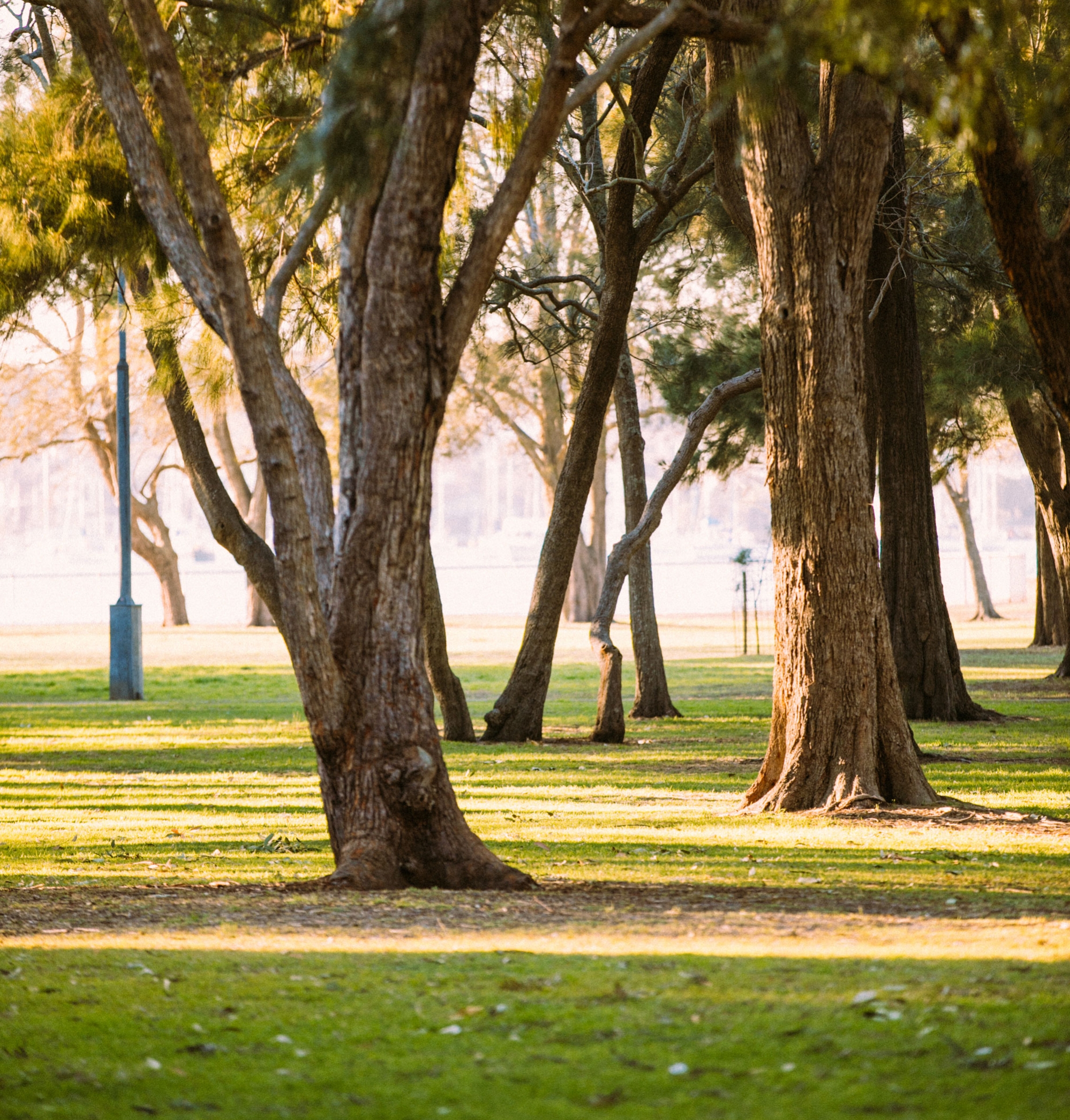 Parc-11.jpg
