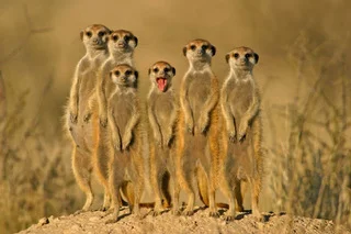 africageo_team_700-3.jpeg