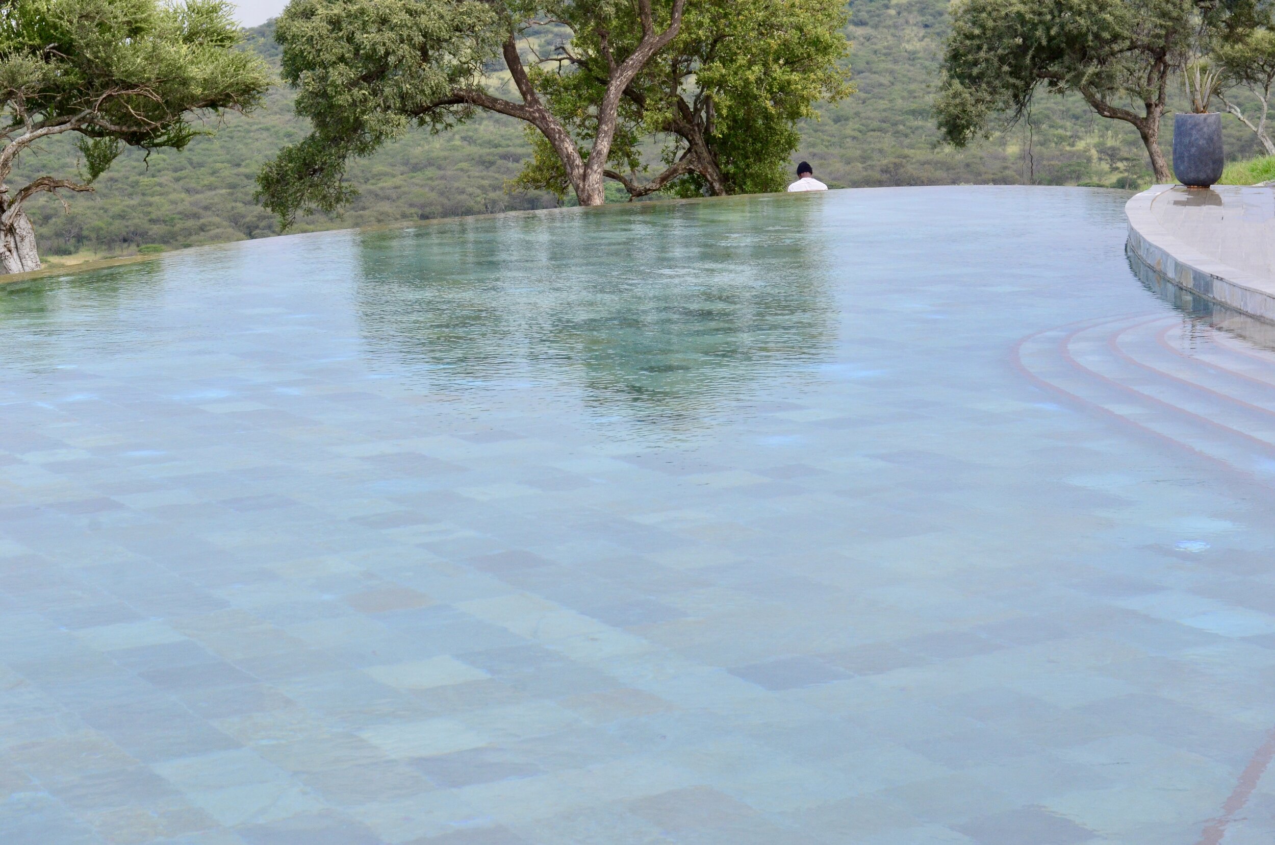 Melia Serengeti Pool.jpeg