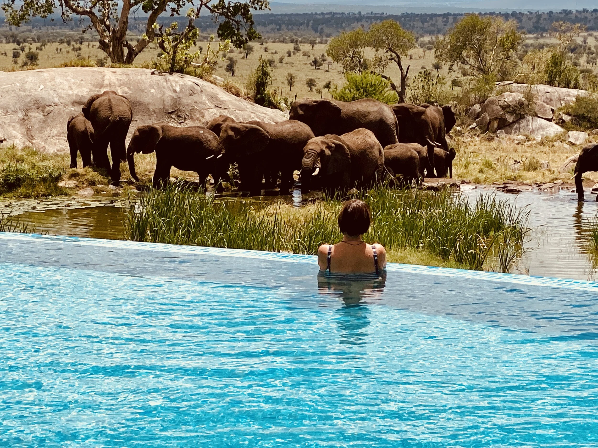 Courtesy of Gabriele Brown