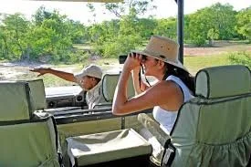 women on Safari wit Binoculars.jpeg