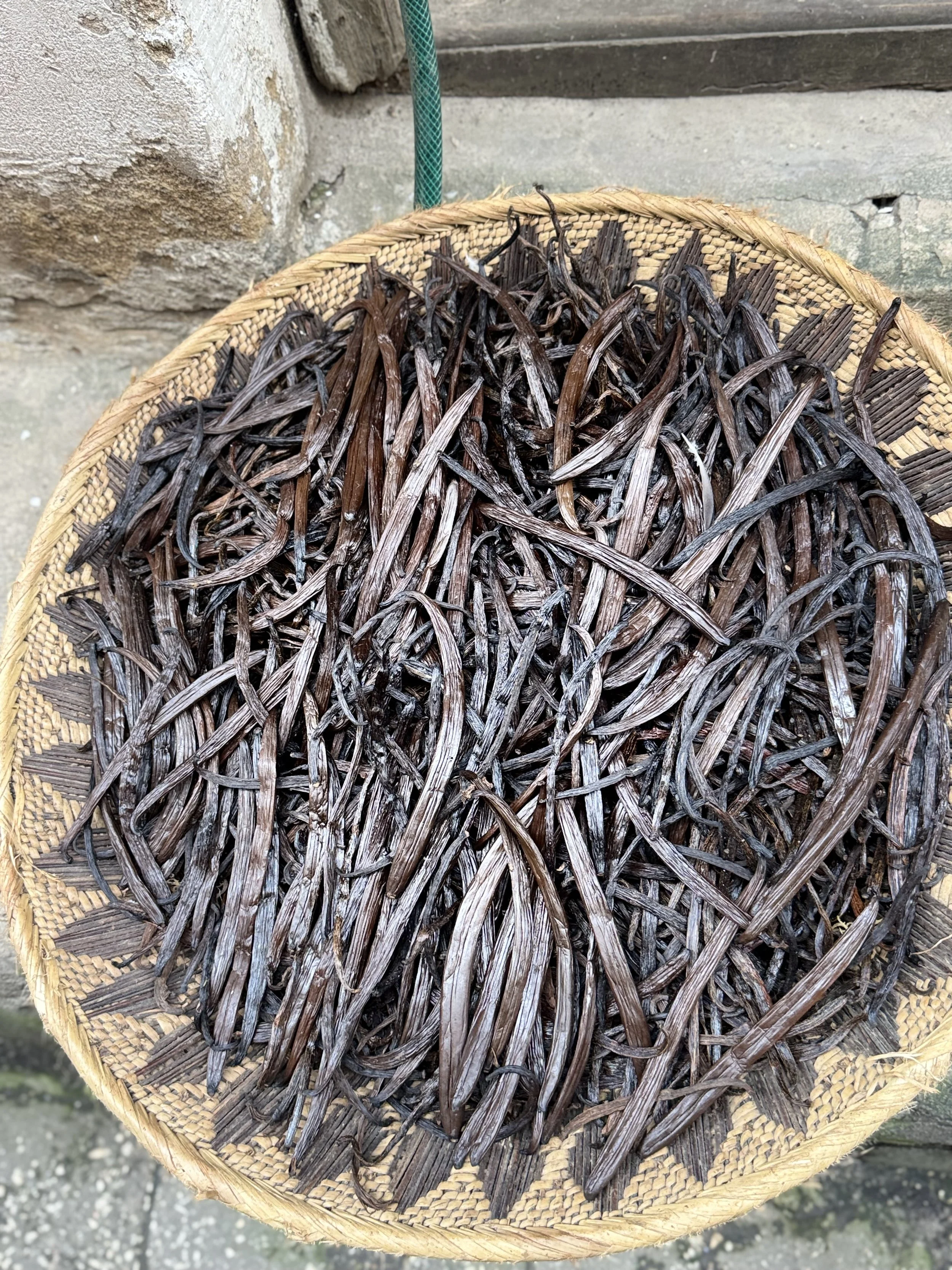 vanilla beans Zanzibar.jpeg