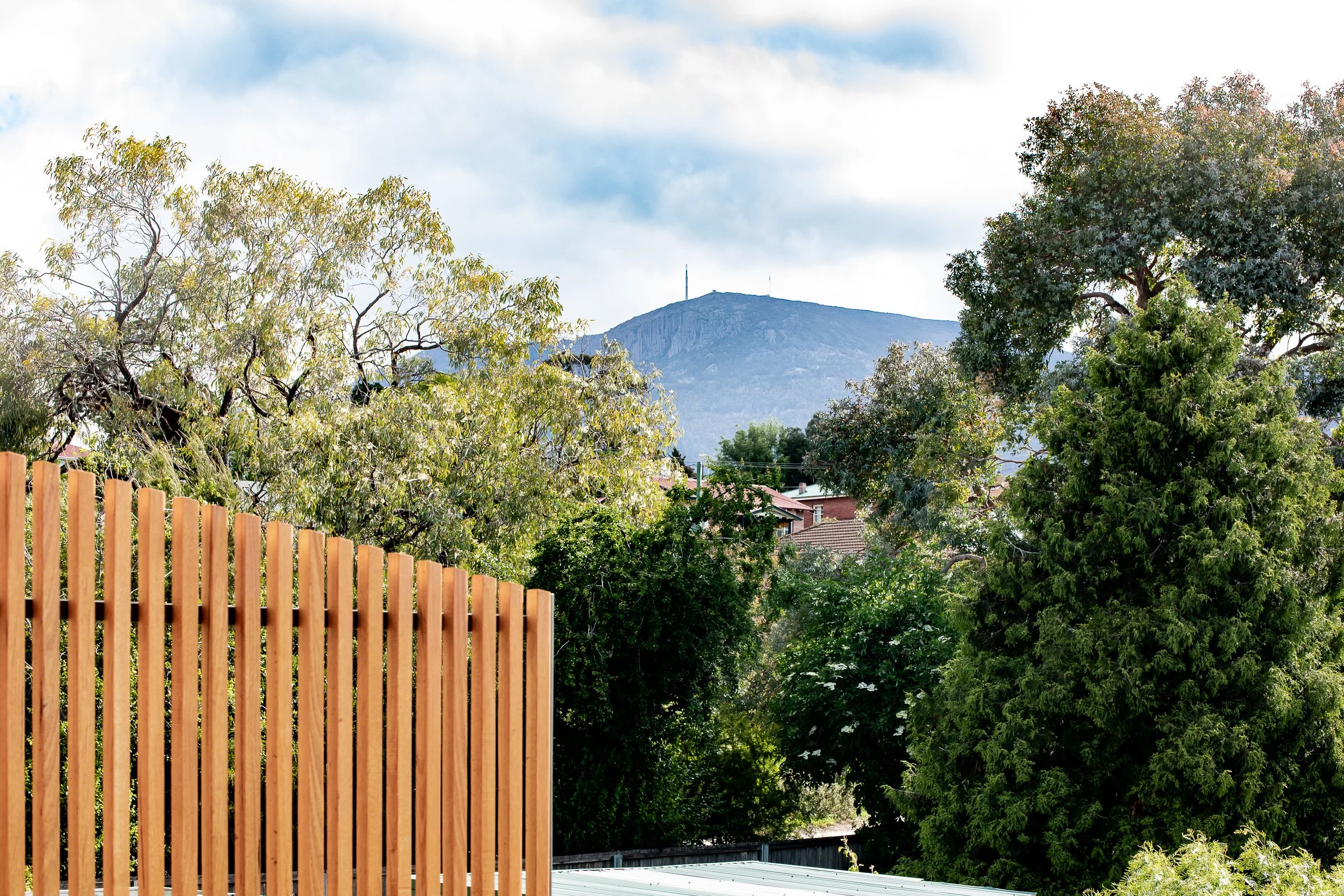 AKA-Architects_Hobart_Oldham-Extension_Natasha-Mulhall_0259.jpg