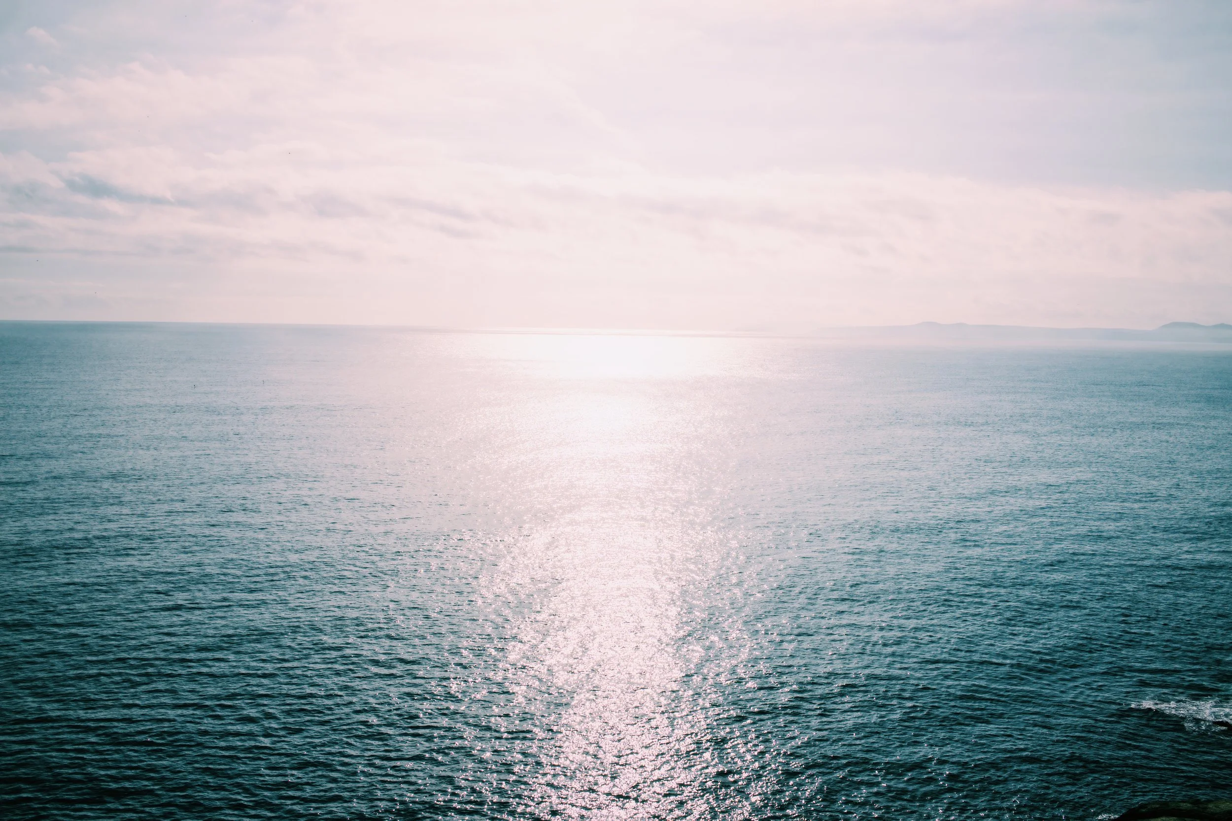 What Happened and What to Expect: The 2020 Housing Market Predictions