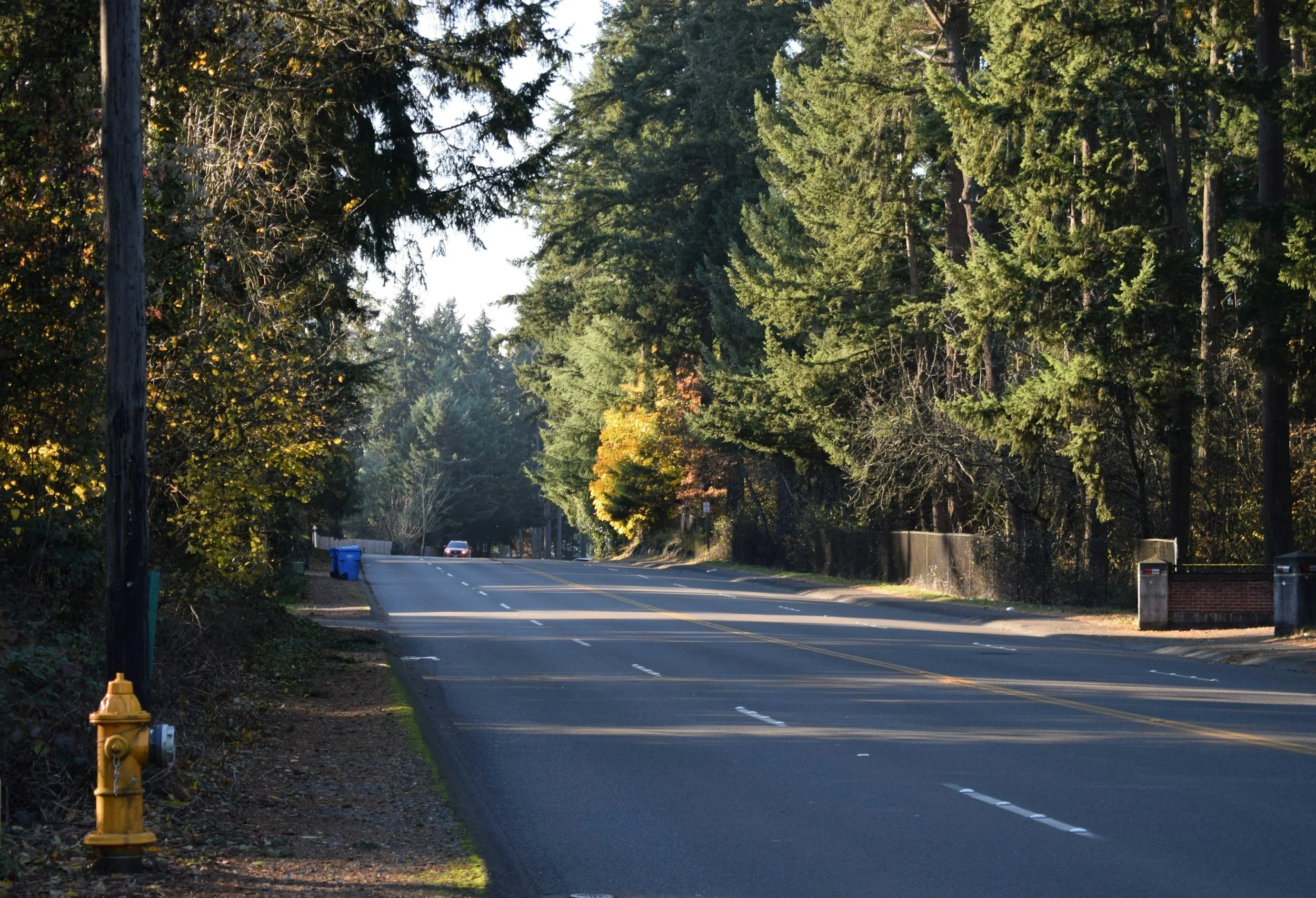 What’s Driving Tacoma’s Growth and Transformation?