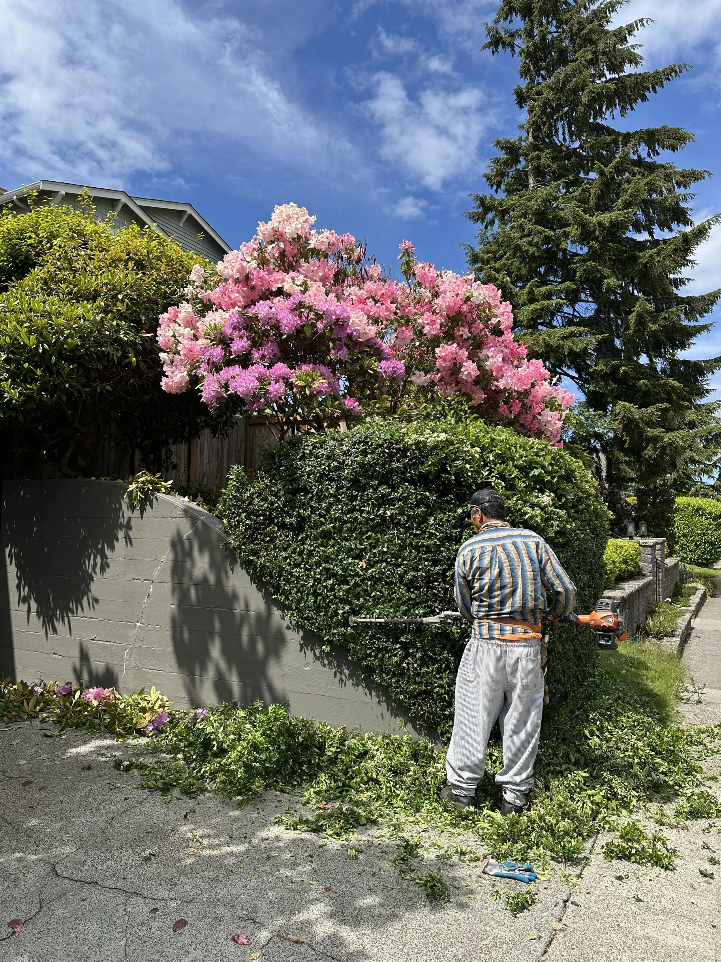 What People Think Landscaping Is and What Real Estate Landscaping Really Looks Like