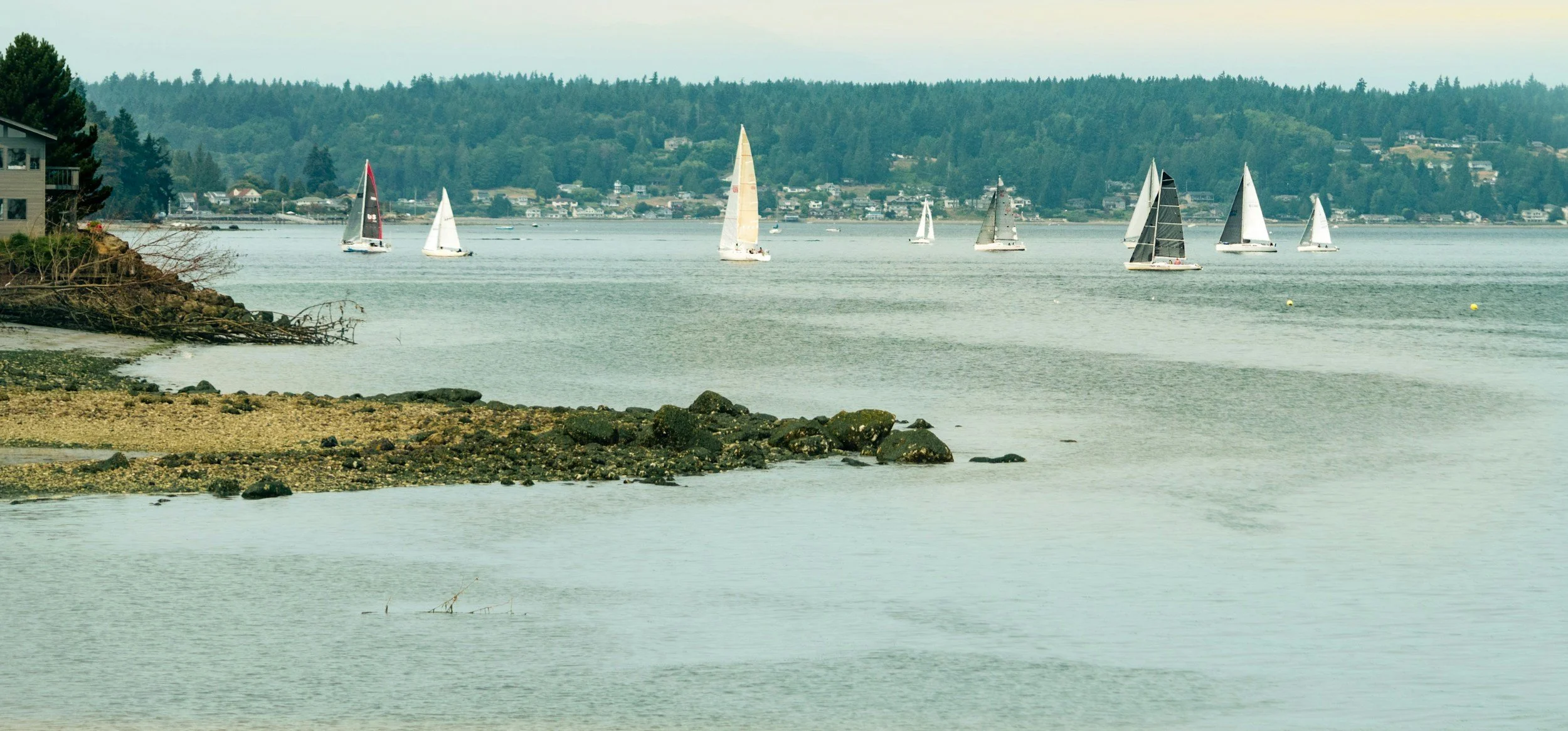 Seattle Housing Market Update: Prices Rise Amid Mixed Conditions