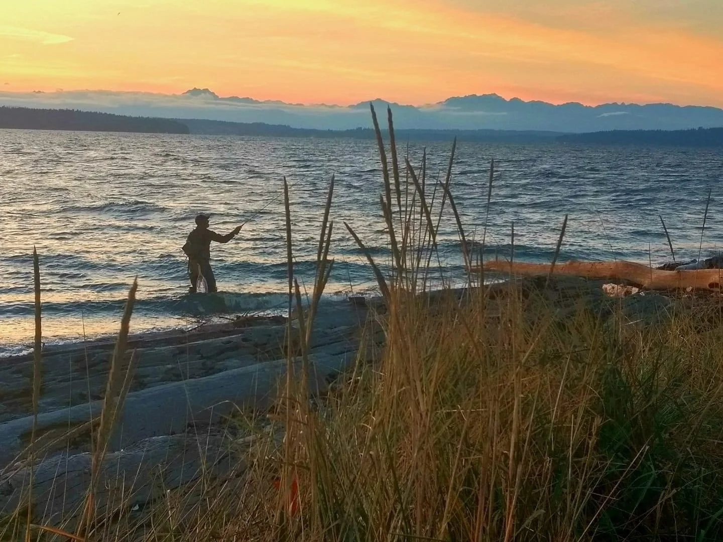 WestSeattle.LincolnPark.Twilight.JPG