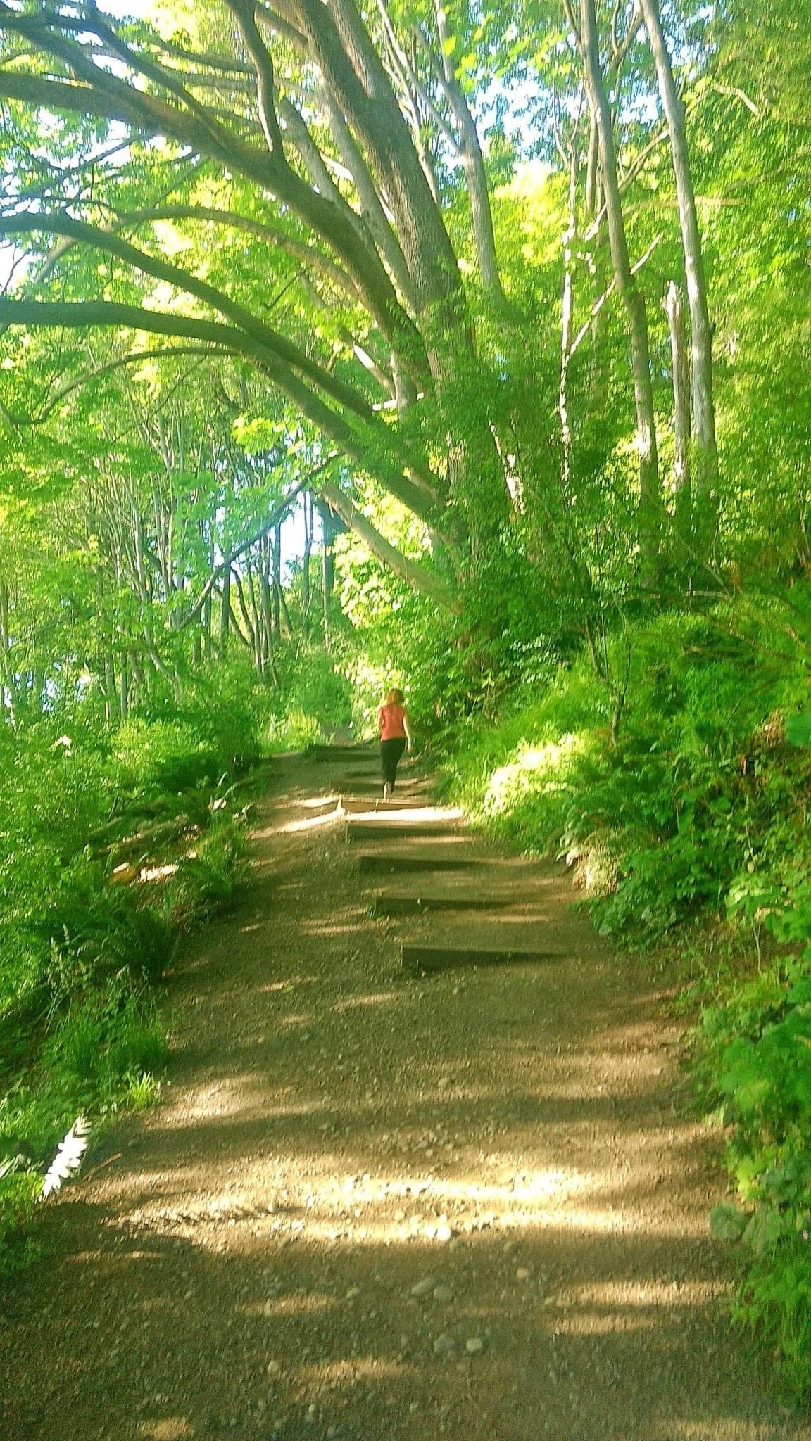 WestSeattle.LincolnPark.JPG