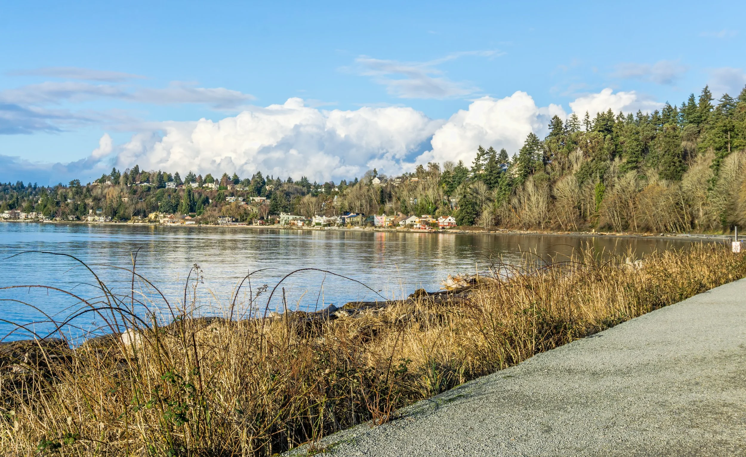 Where West Seattle Cools Off: A Local's Guide to Summer Swimming