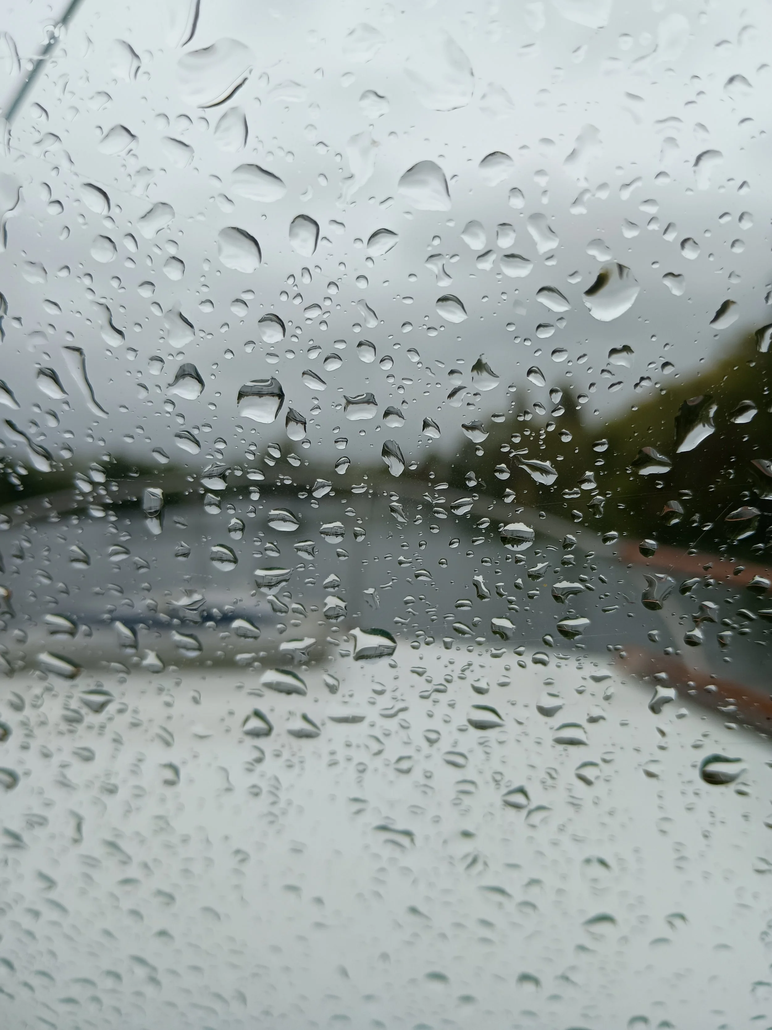How the day continued