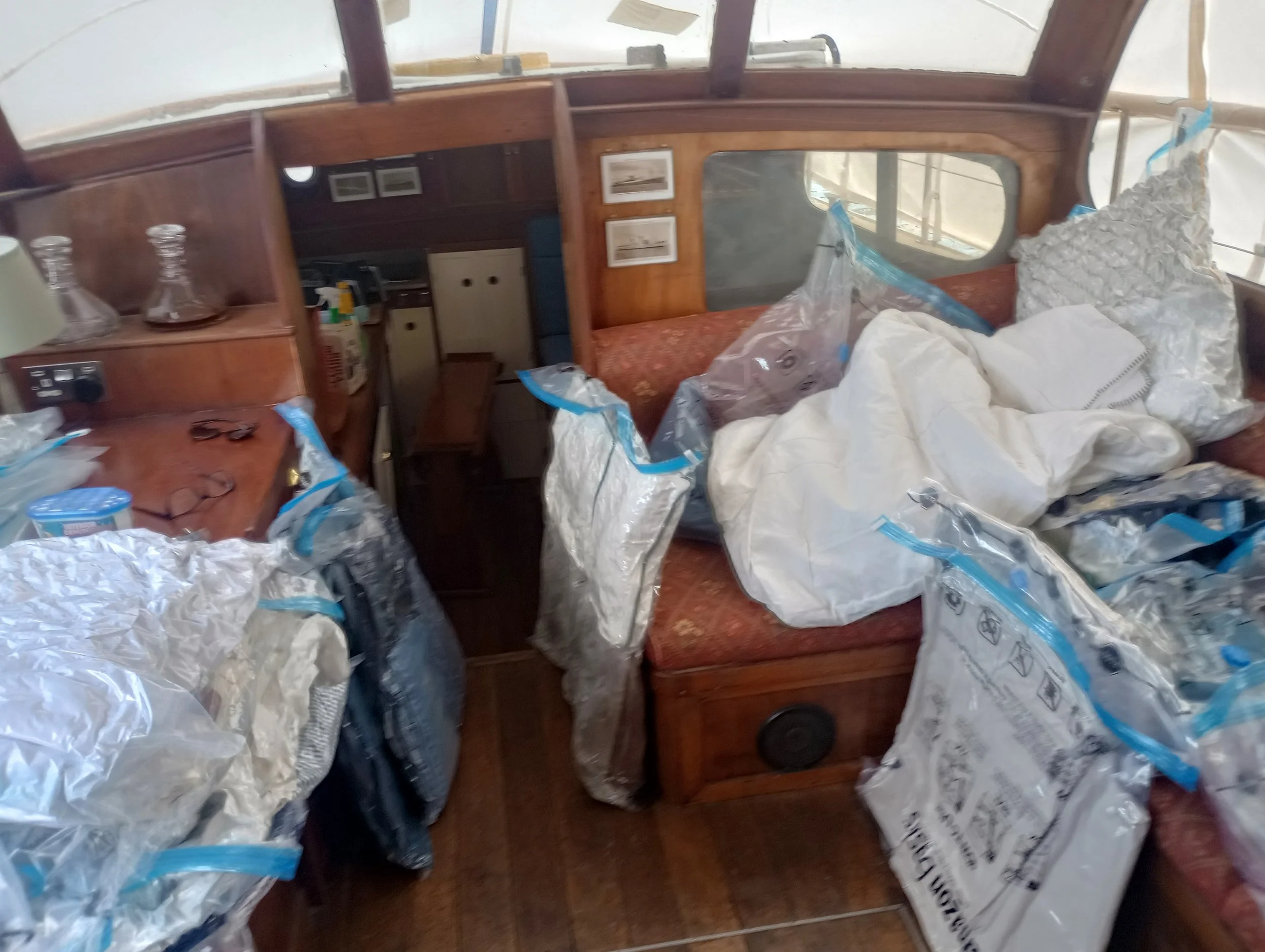 She survived the winter!