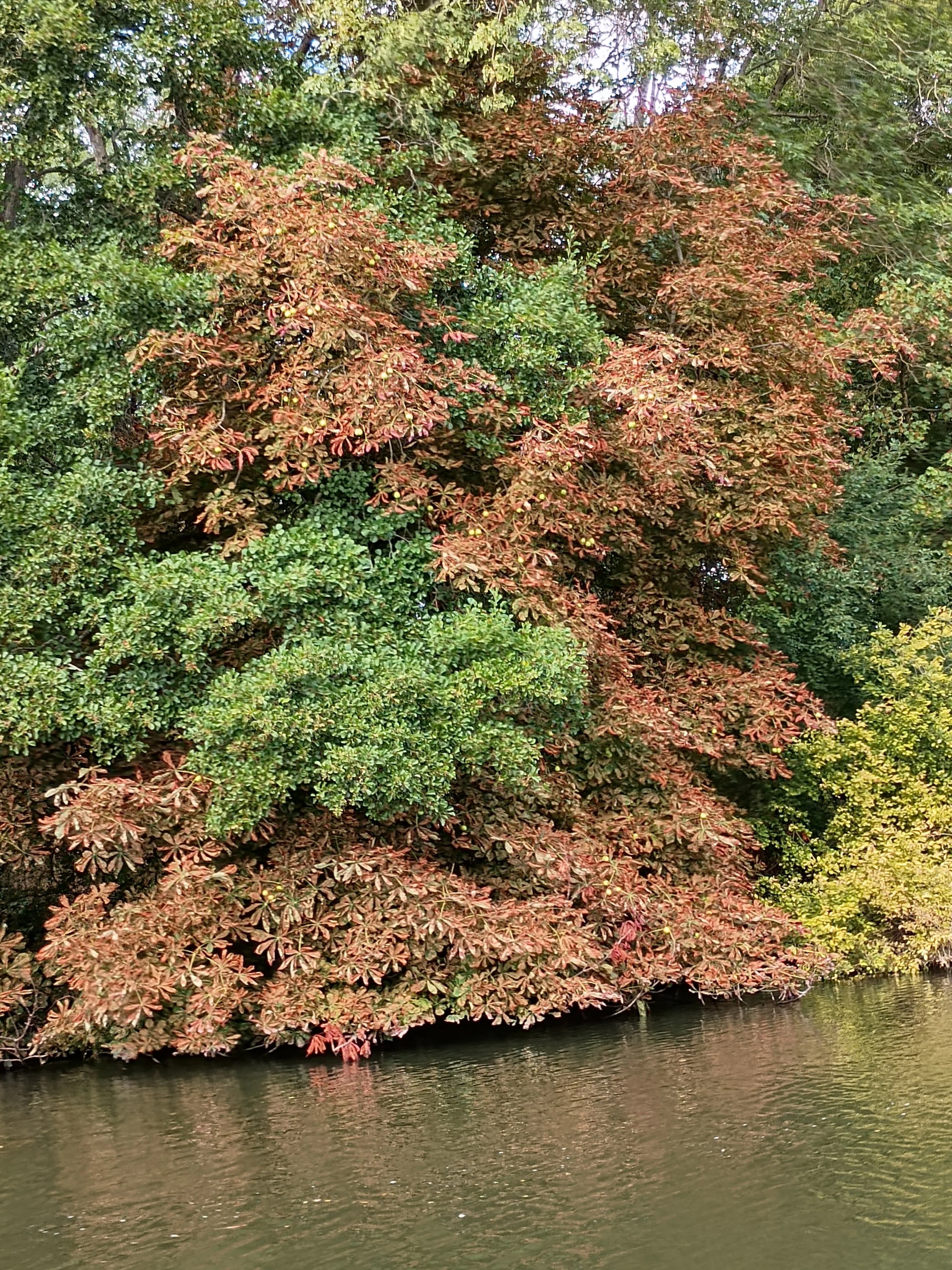Autumn Has Arrived Aboard Deux Poissons