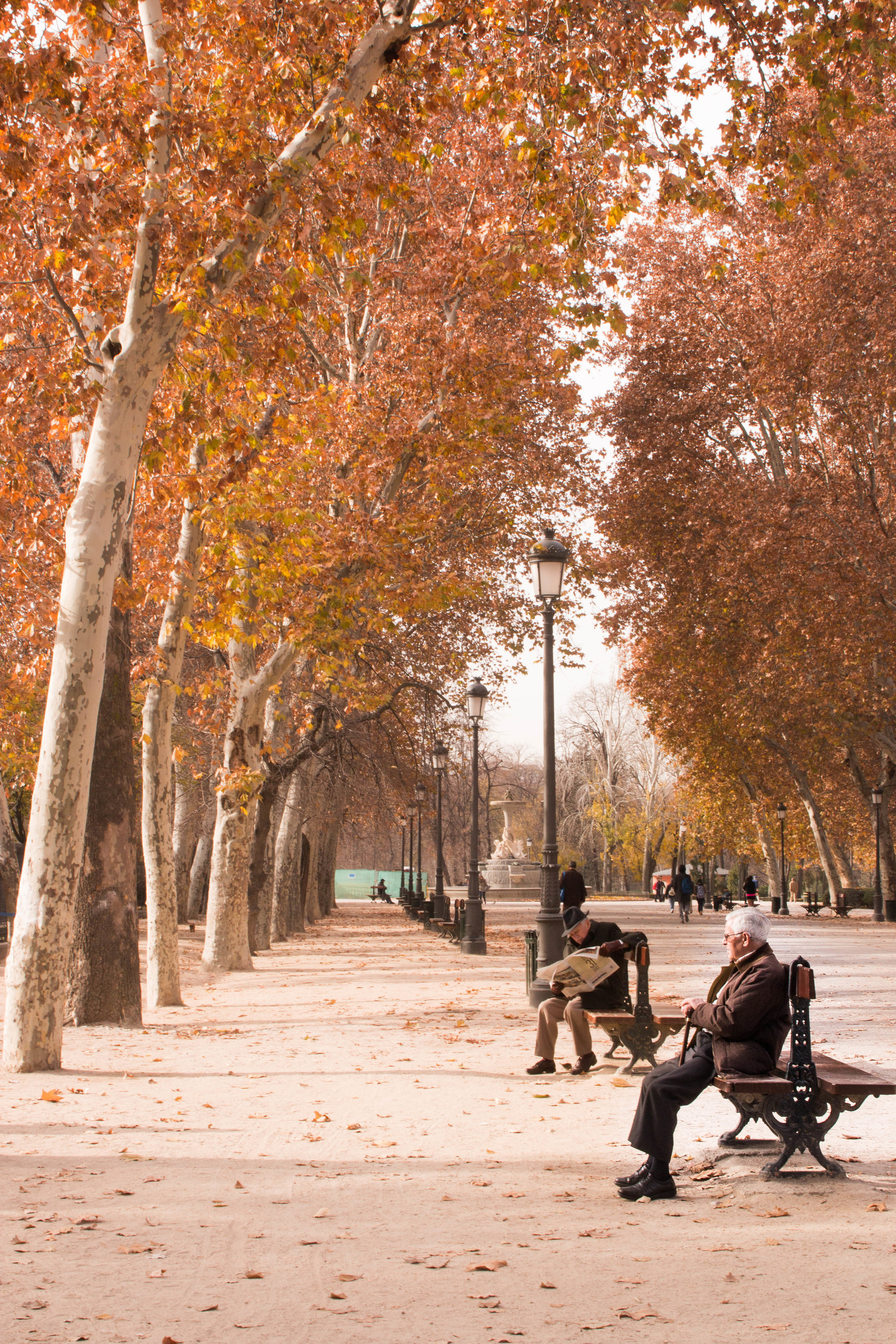 Madrid in the park.