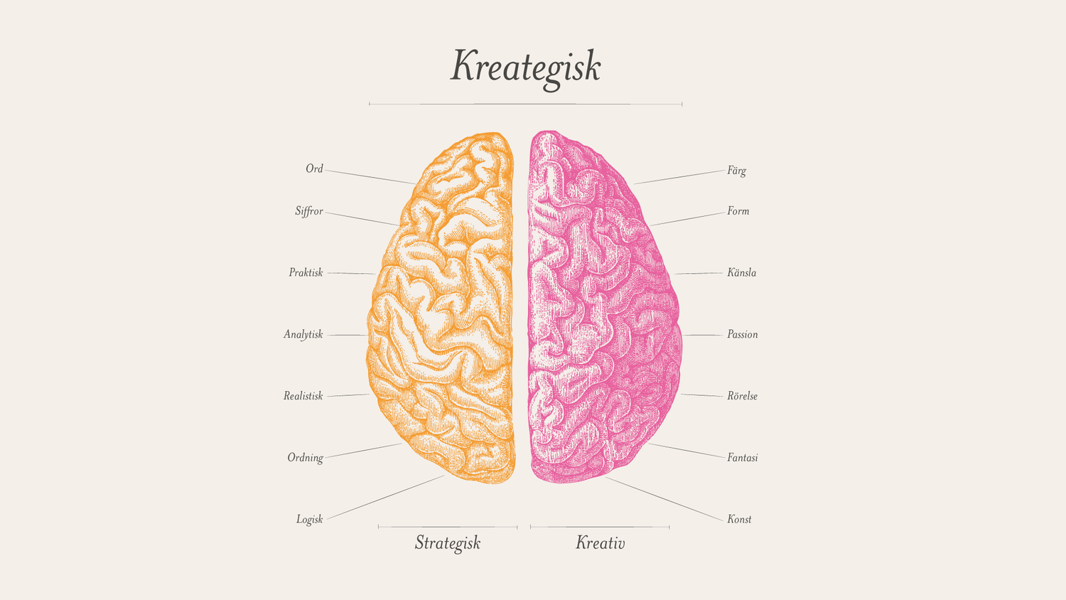 brain-think.png