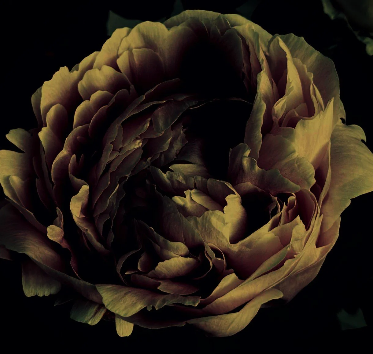 WhatsApp Image 2024-07-31 at 12.12.06.jpeg