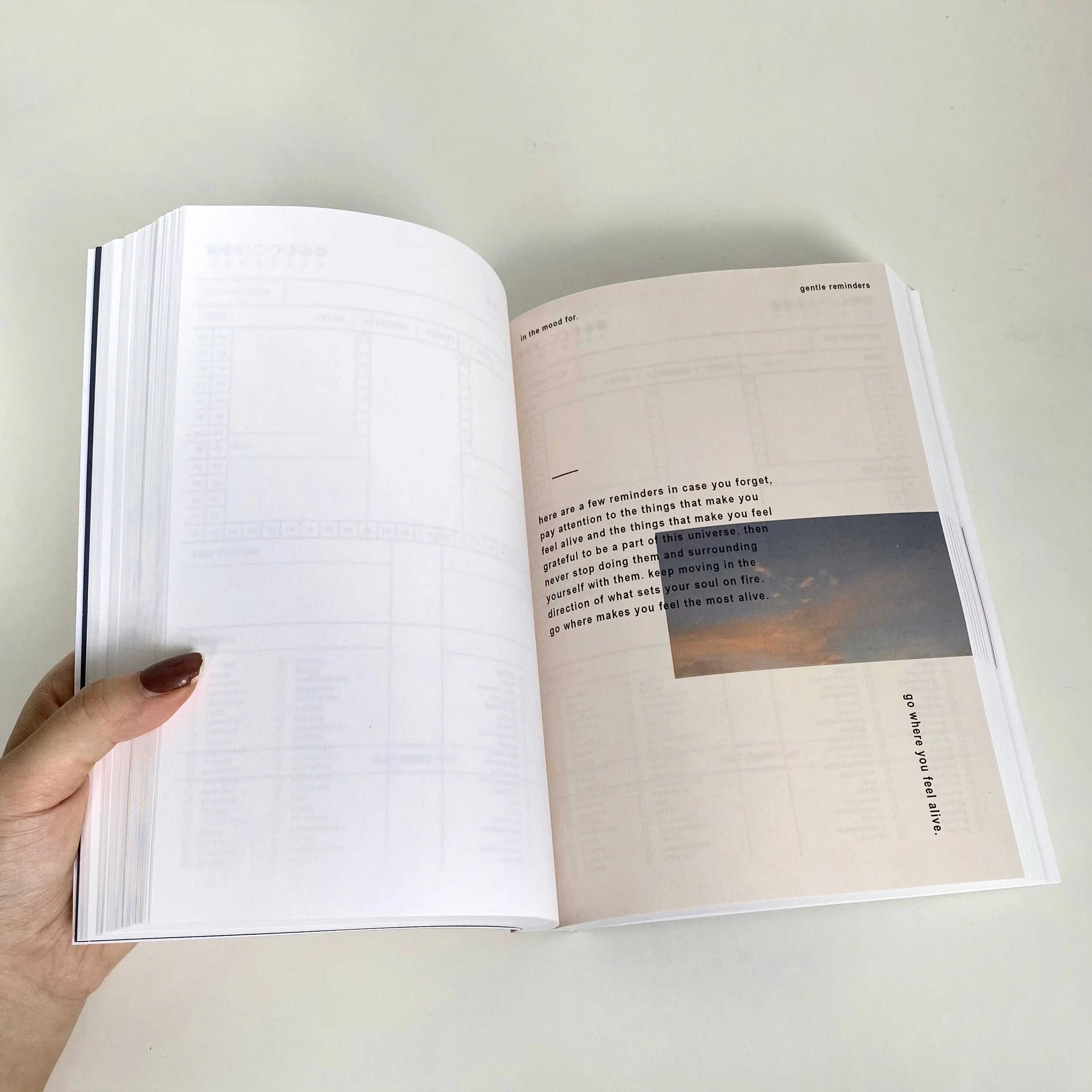 255F426C-300A-4074-9933-6CAAF926B341