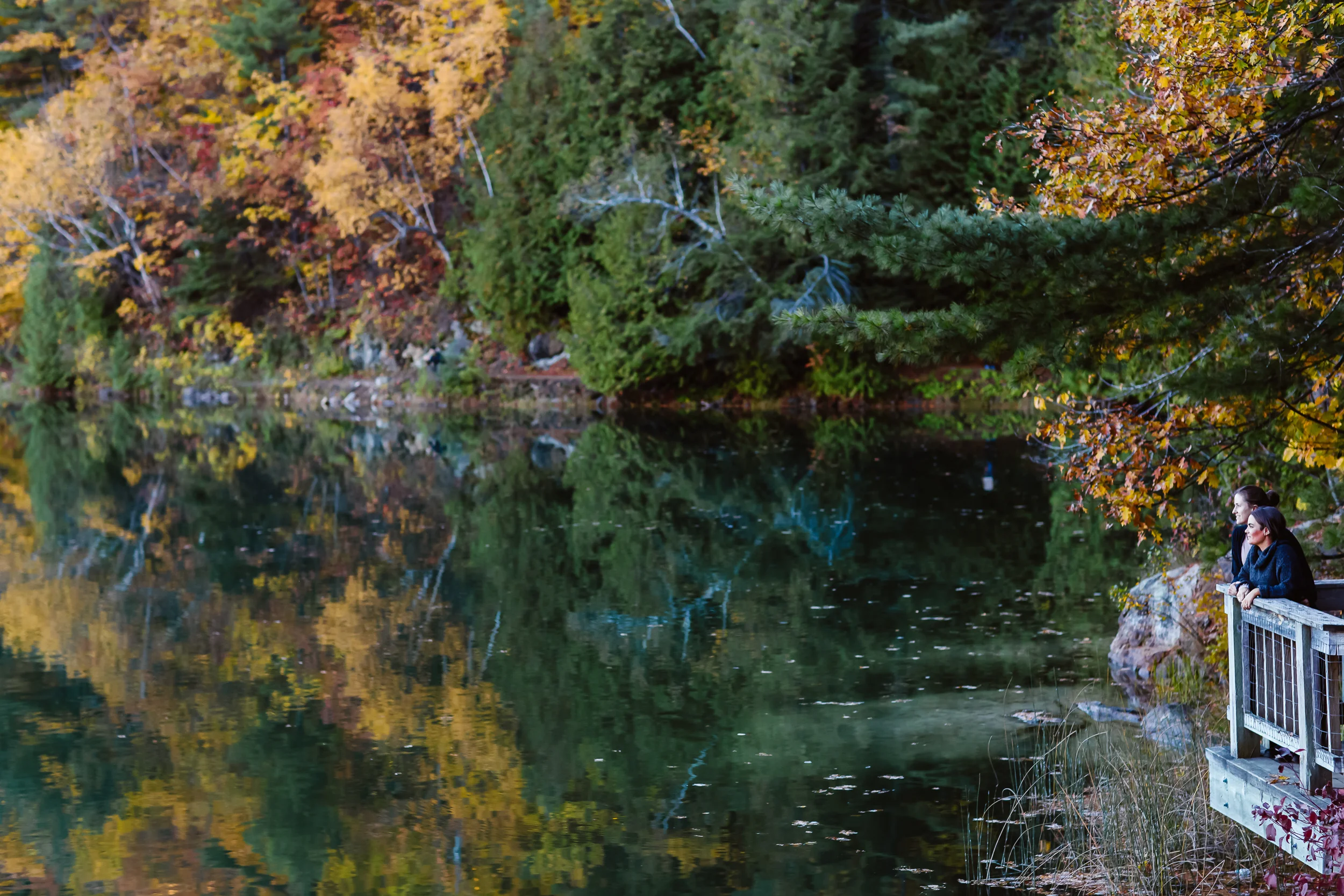 untitled (1 of 1).jpg