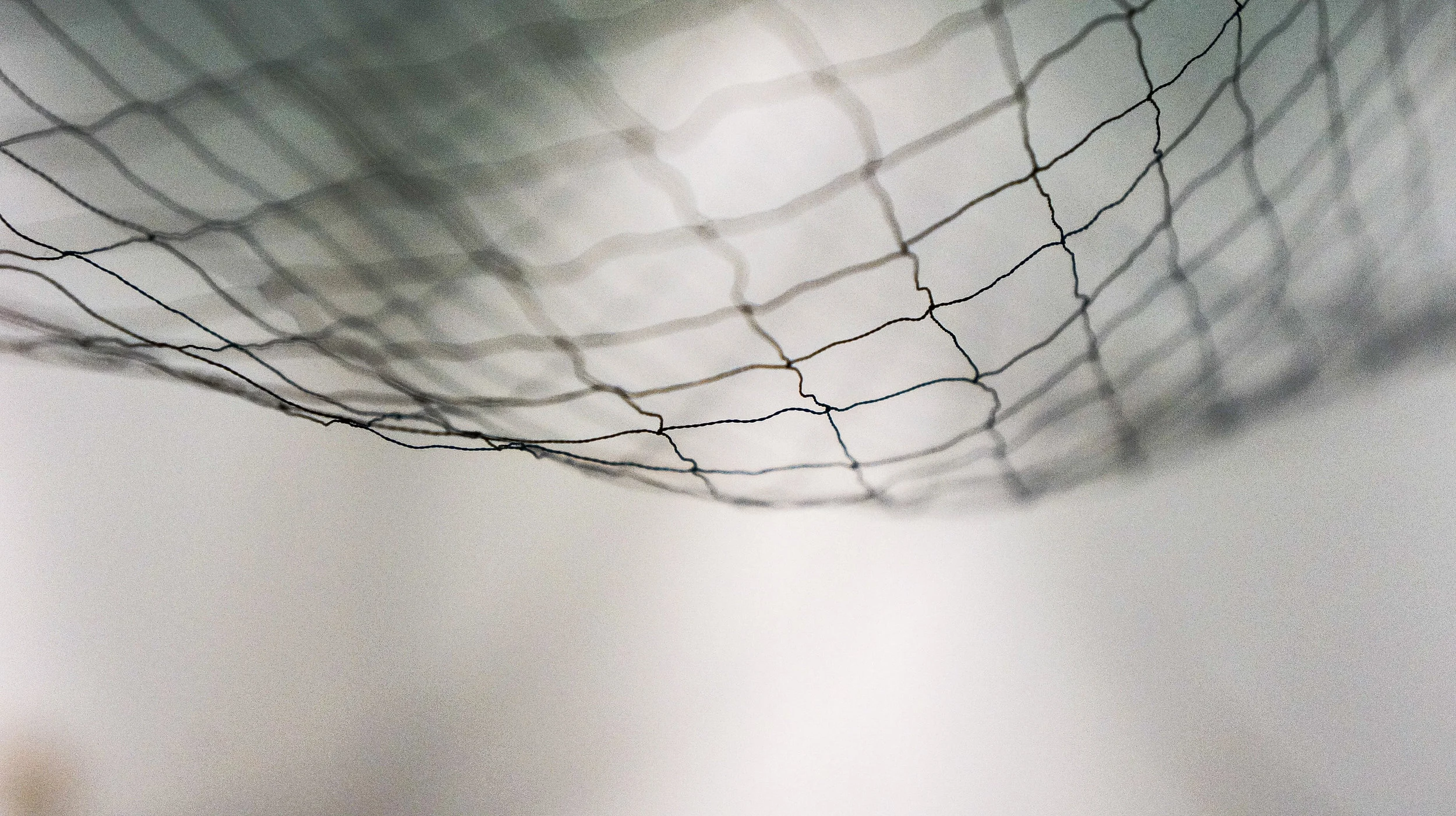 Does Your Business Have a Safety Net?