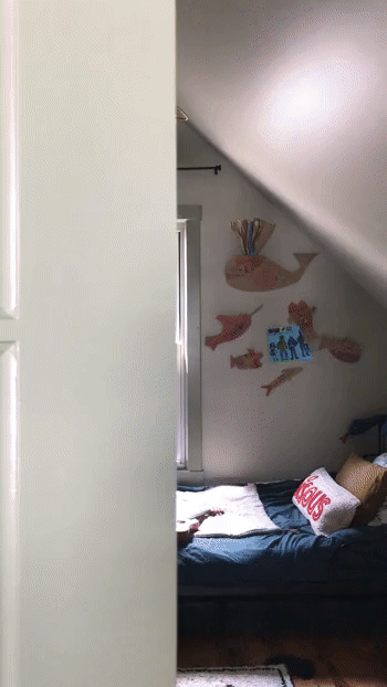 ezgif.com-gif-maker (6).gif