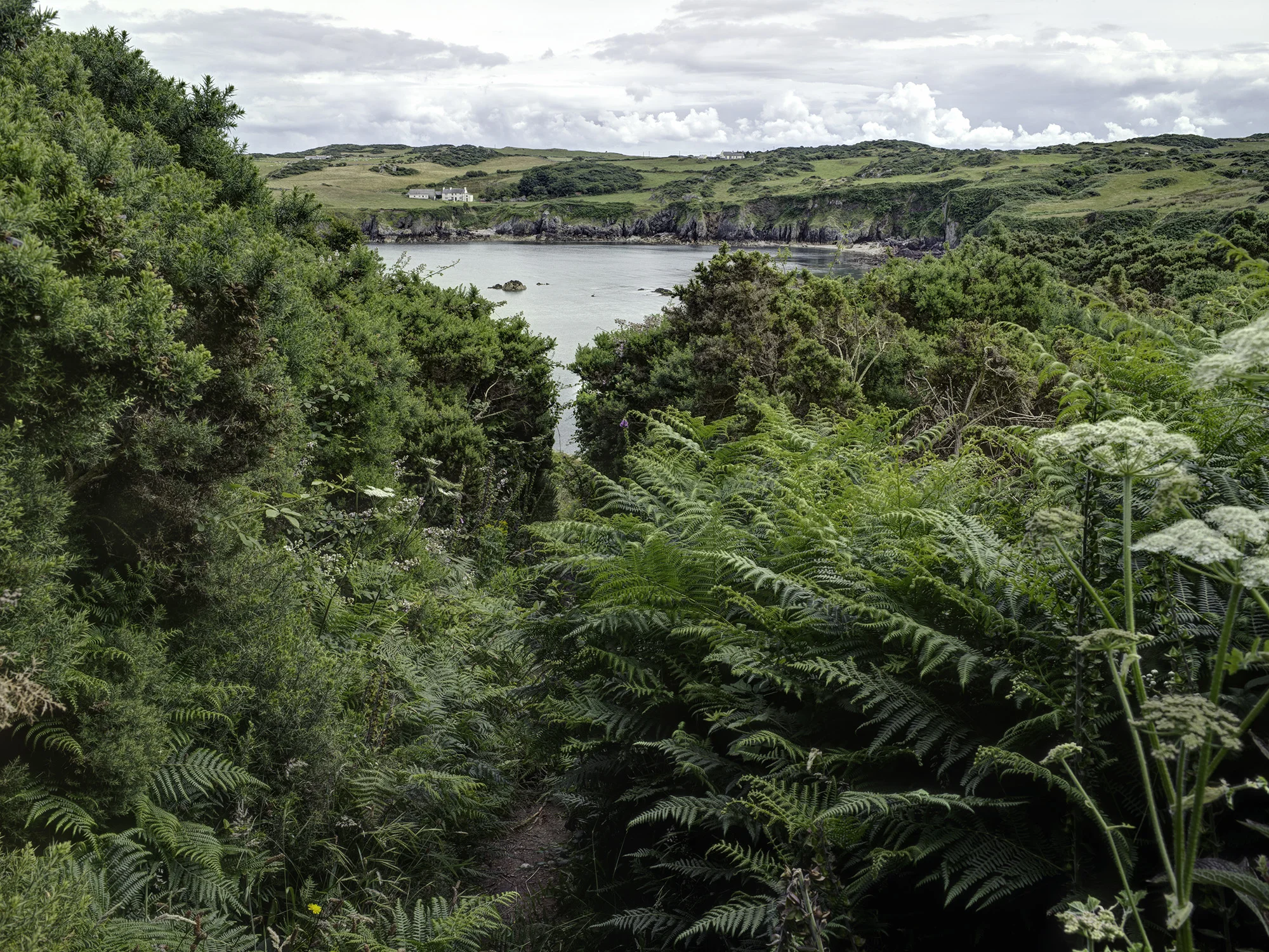 Isle of Anglesey, UK Buy print