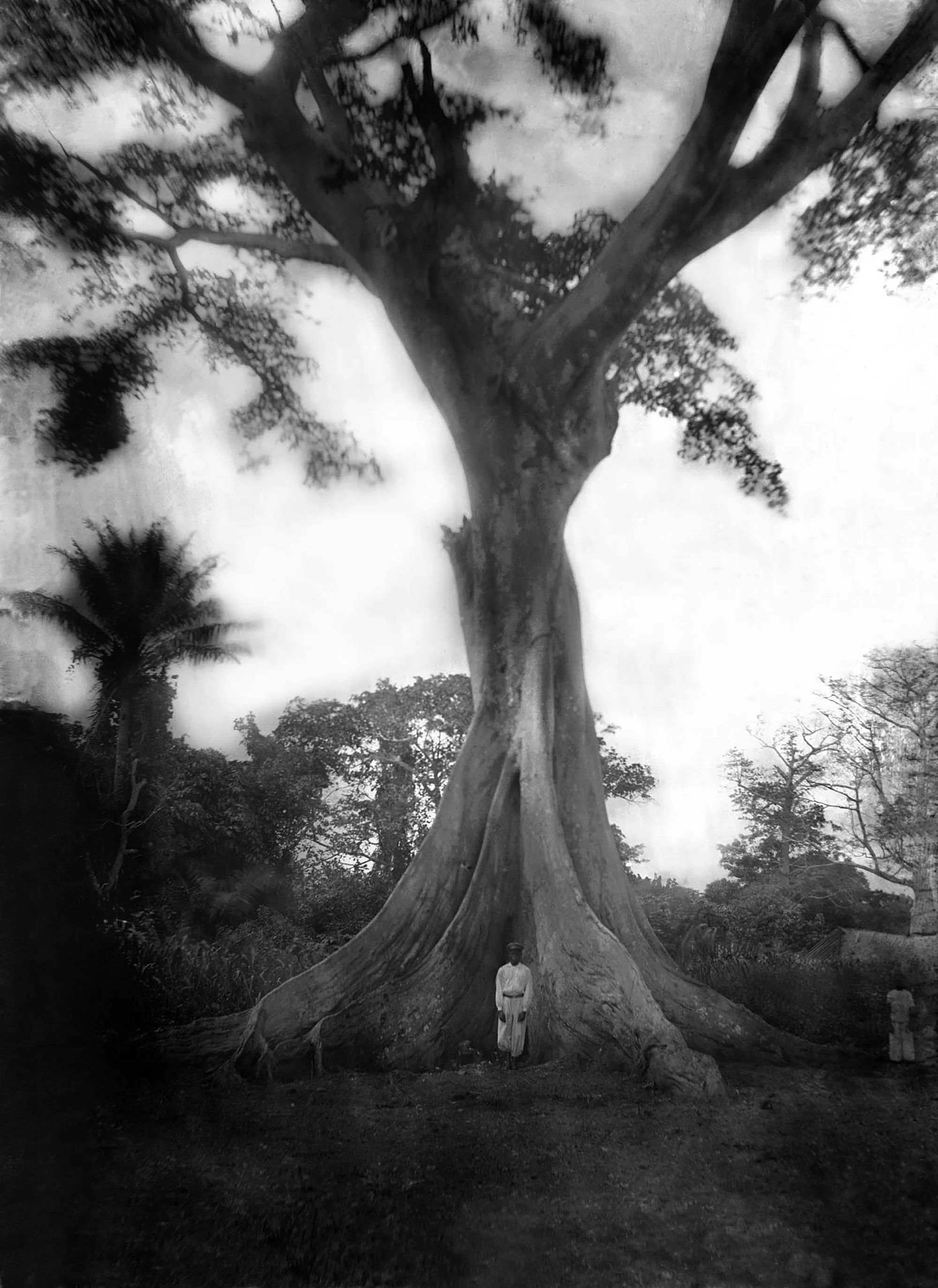 AP.0.0.2063_NEG_01.jpg