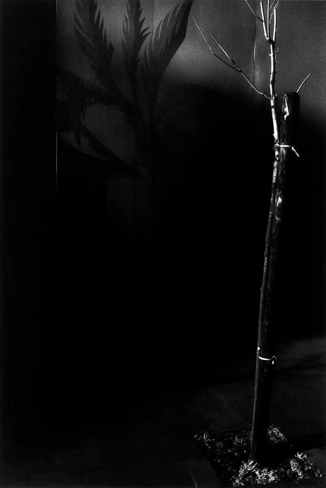 KEC1981002W00017-0X.jpg