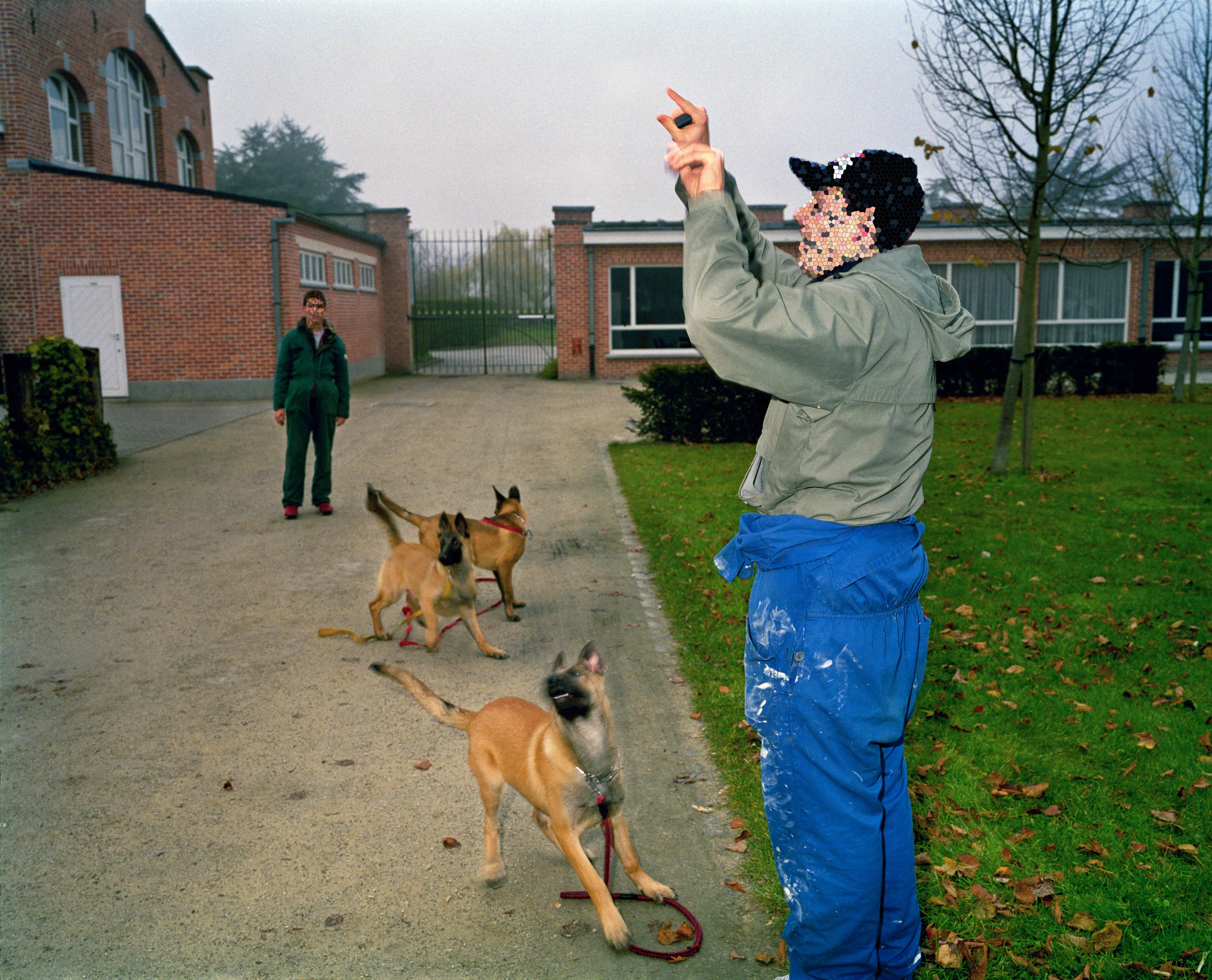 KEC2004003Z00015-37grtbrut.jpg