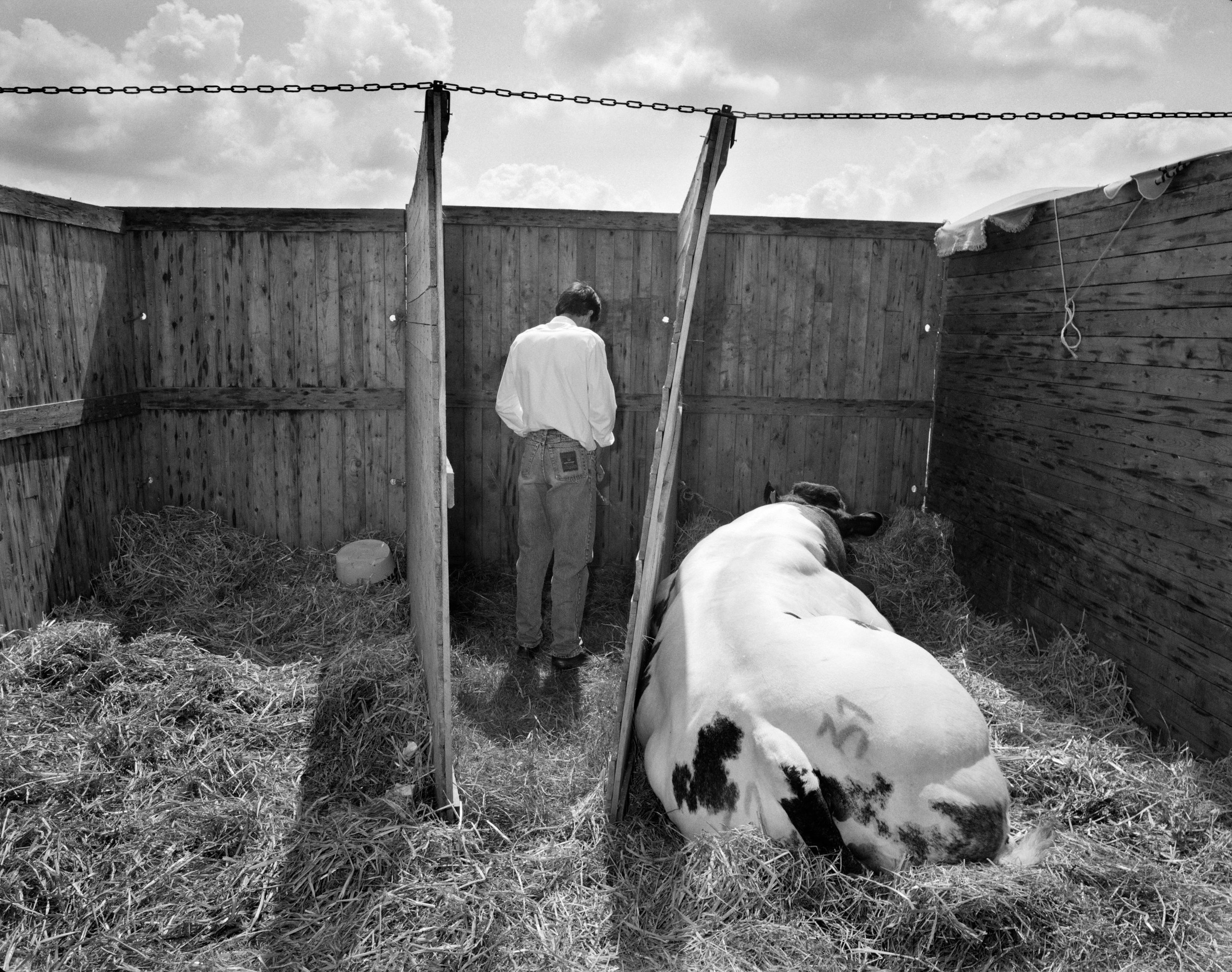 Rural Belgium 1992