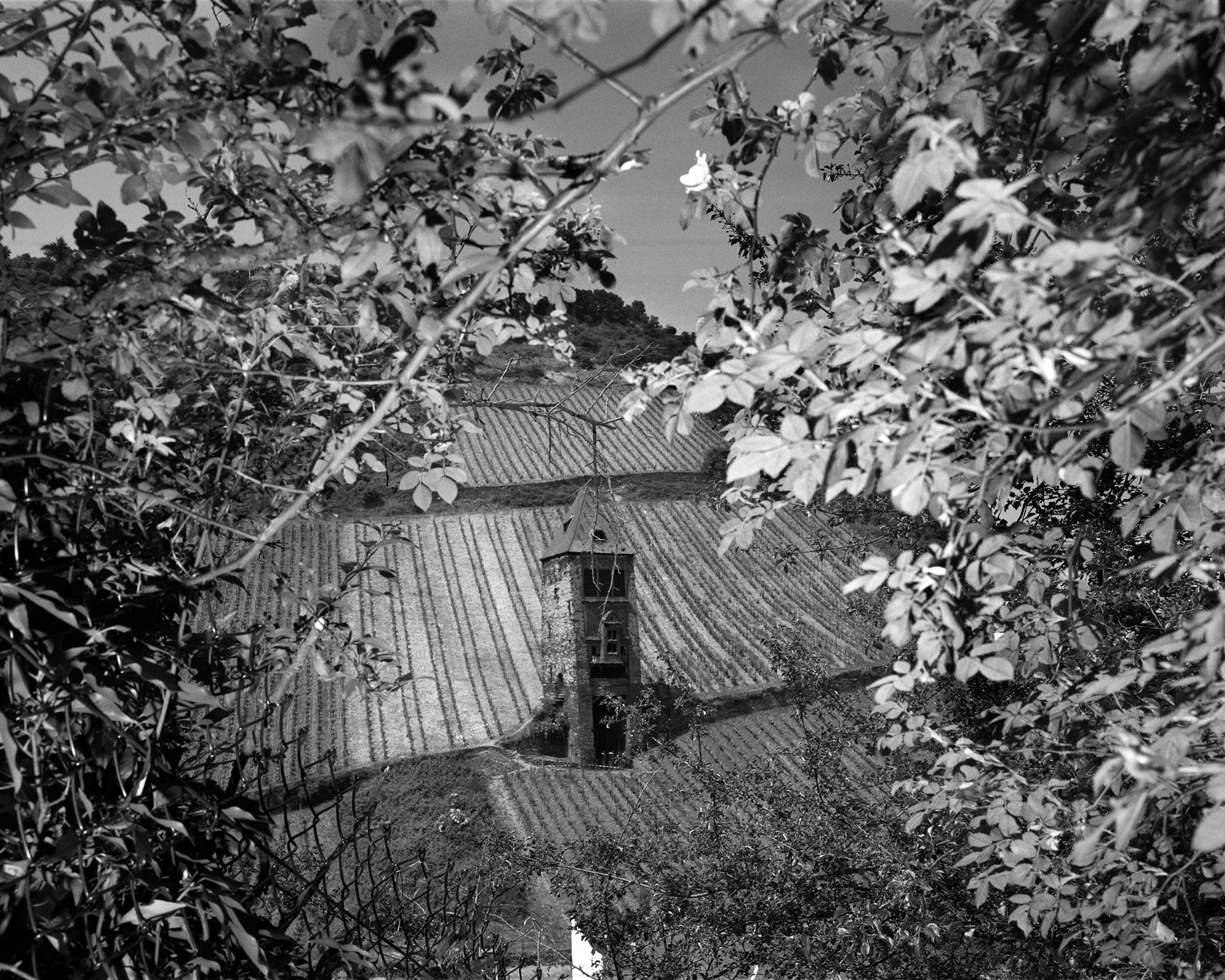 Sankt Goar - D, 1999. (EVROPA 70)