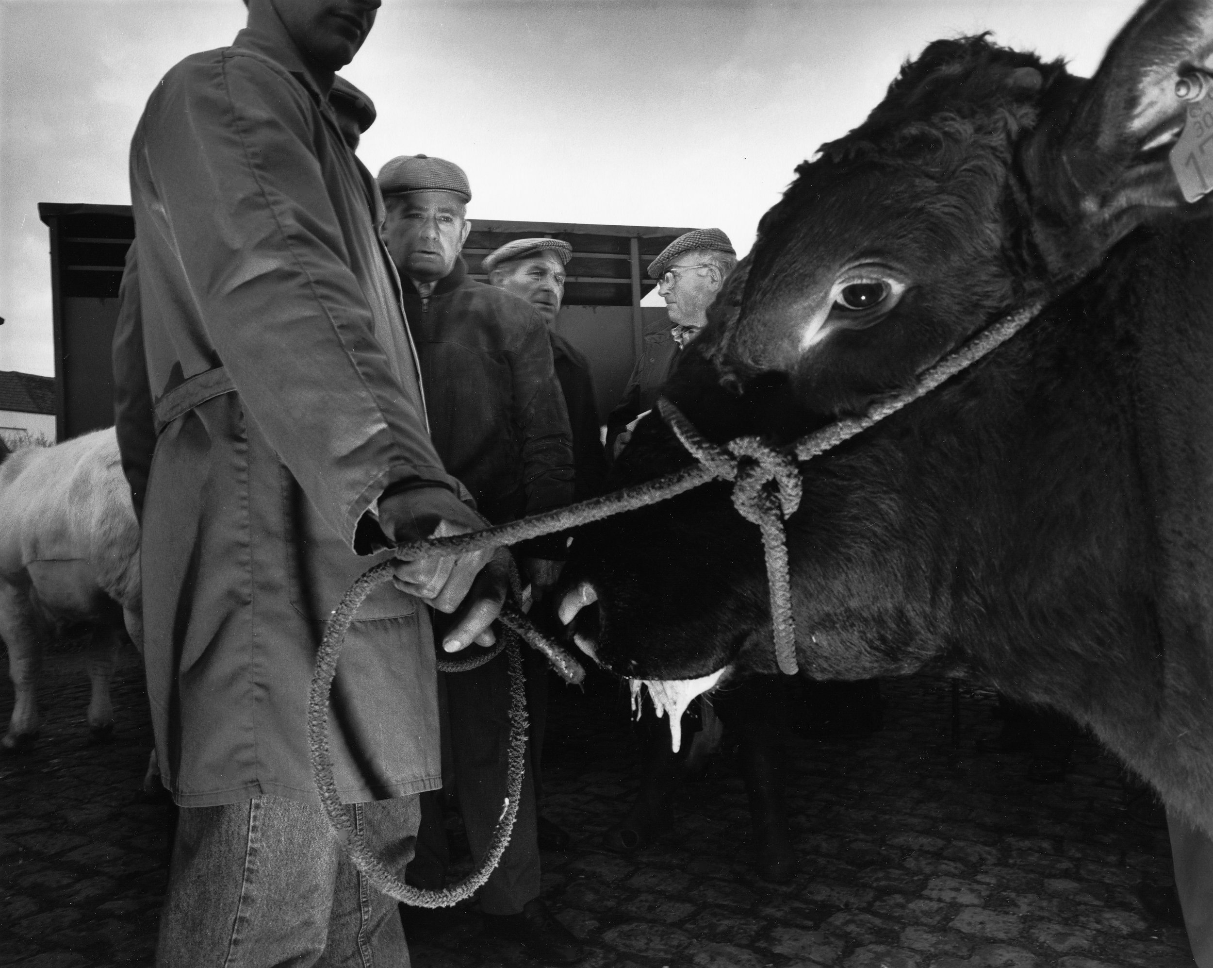Poperinge - B, 1992. (EVROPA 93)