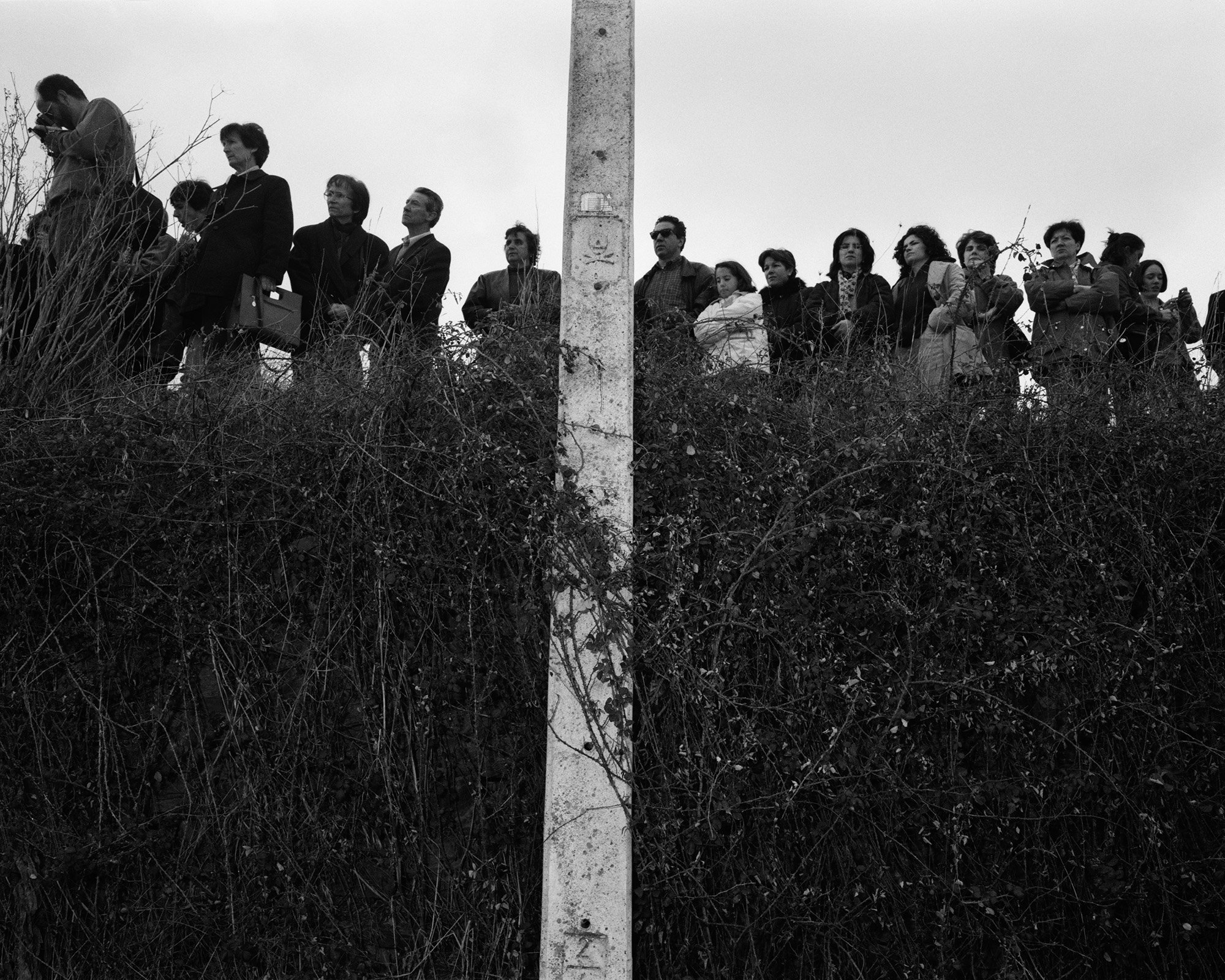 Berciamo de Aliste - E, 1999. (EVROPA 115)