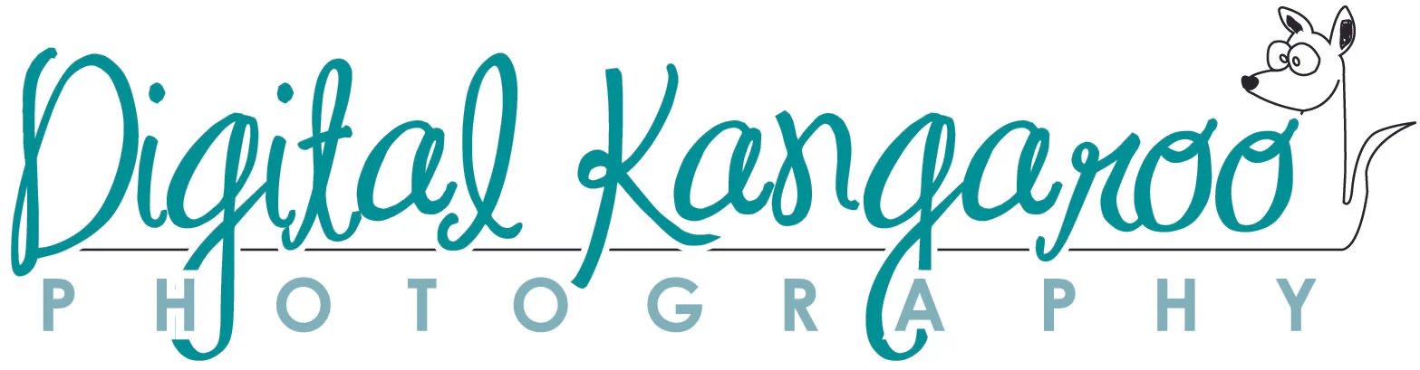Digital Kangaroo Photography