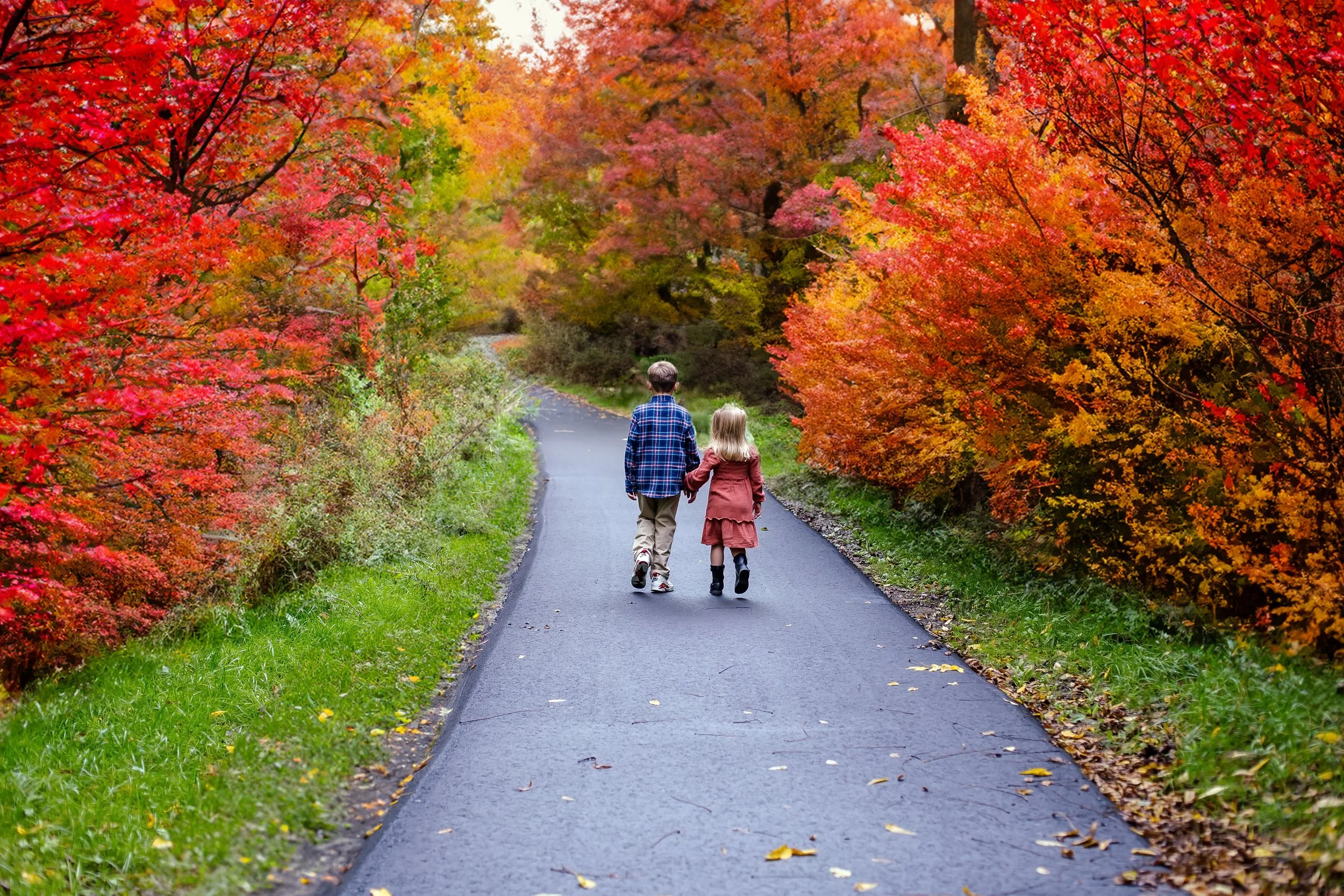 Outdoor Fall - Etobicoke Park