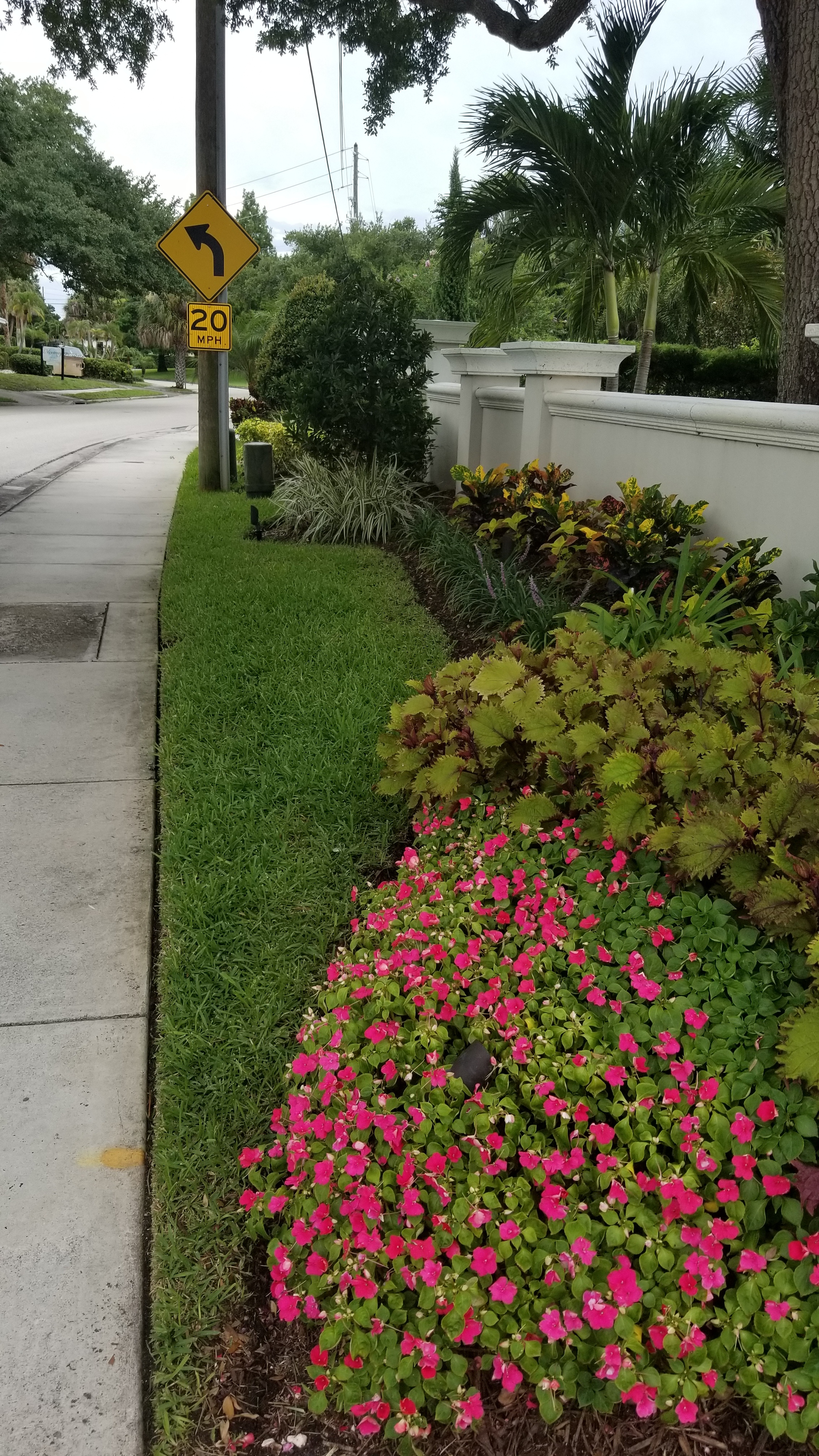 20190617_161433.jpg