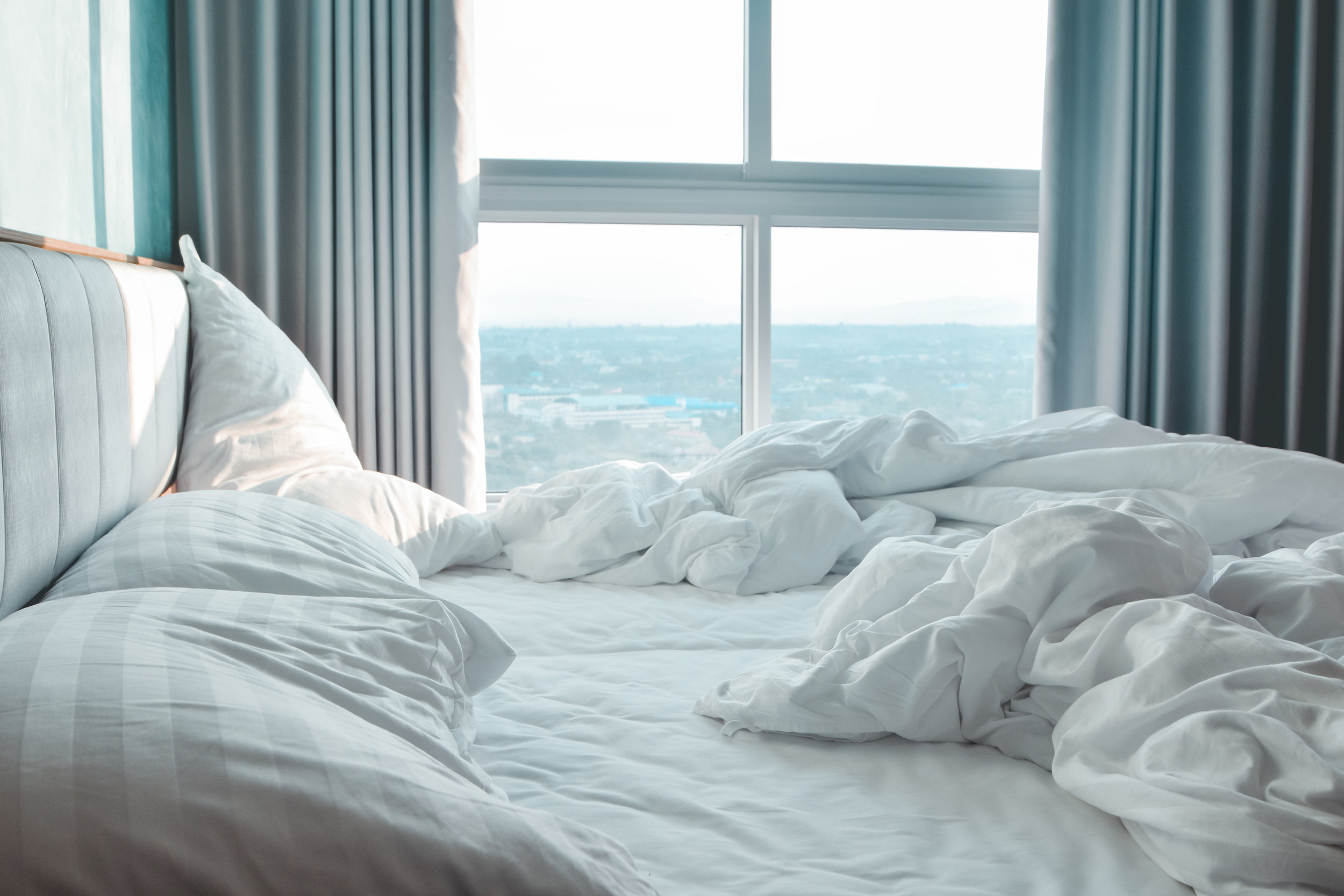 AdobeStock_275118293.jpeg