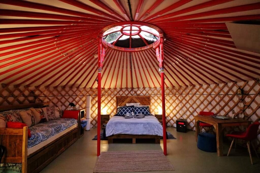 snowshoe hare yurt - nspei.jpeg