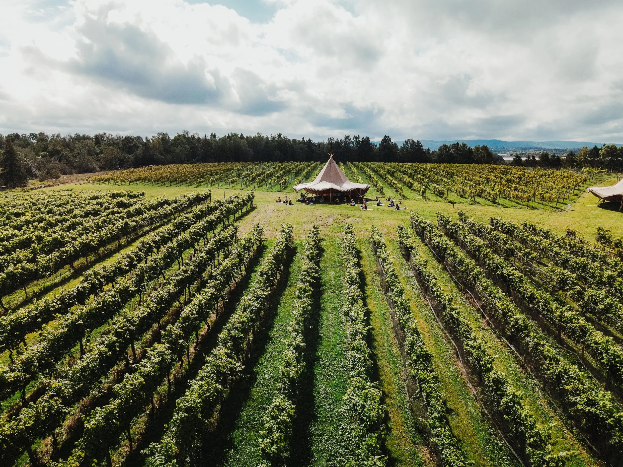DJI_0091.jpg