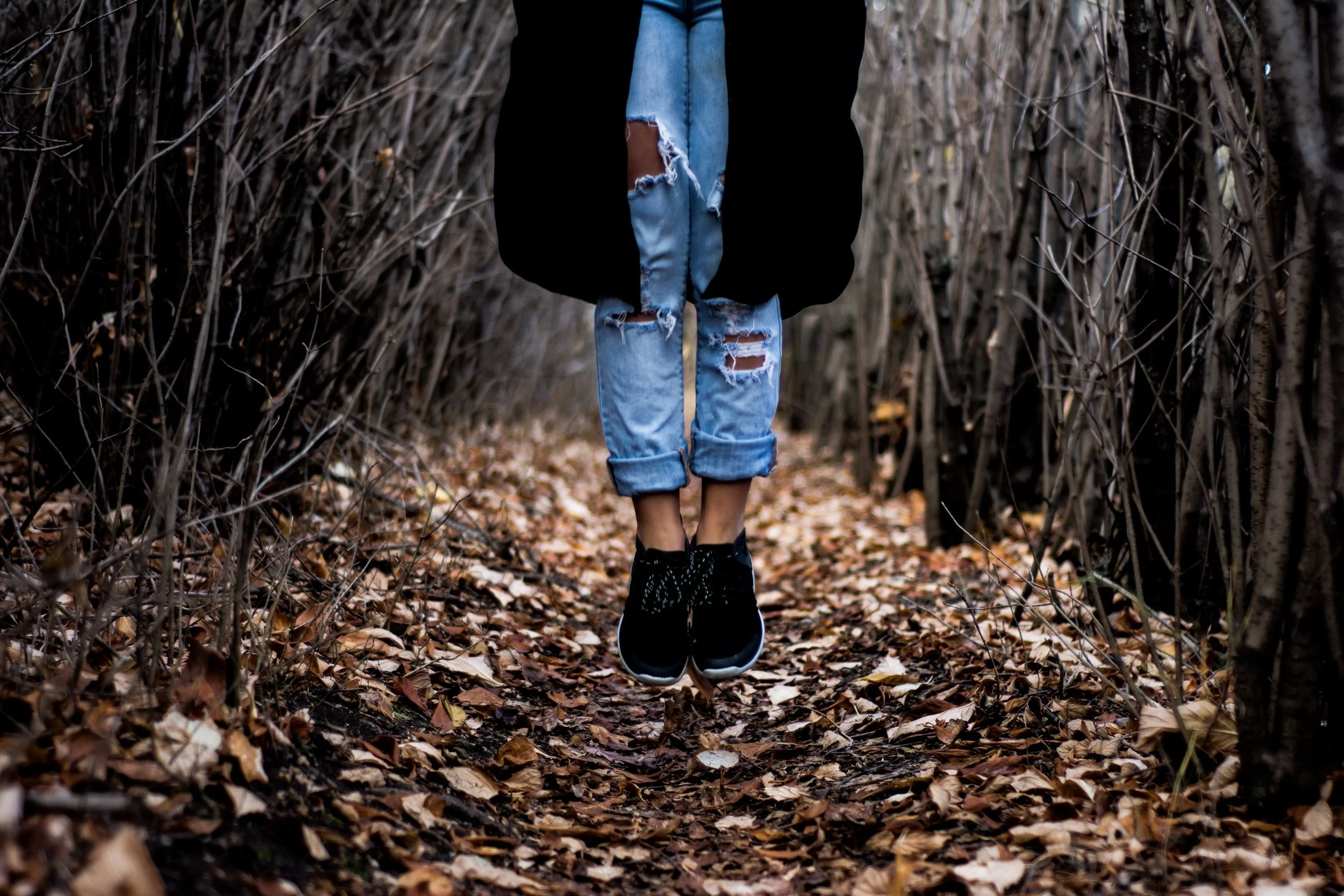 banter-snaps-41843-unsplash.jpg