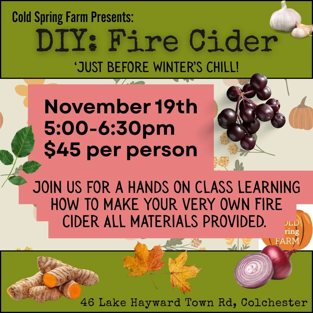 F66F9197-978D-4BEB-BEB3-0AEA0981FE90 (1).jpeg