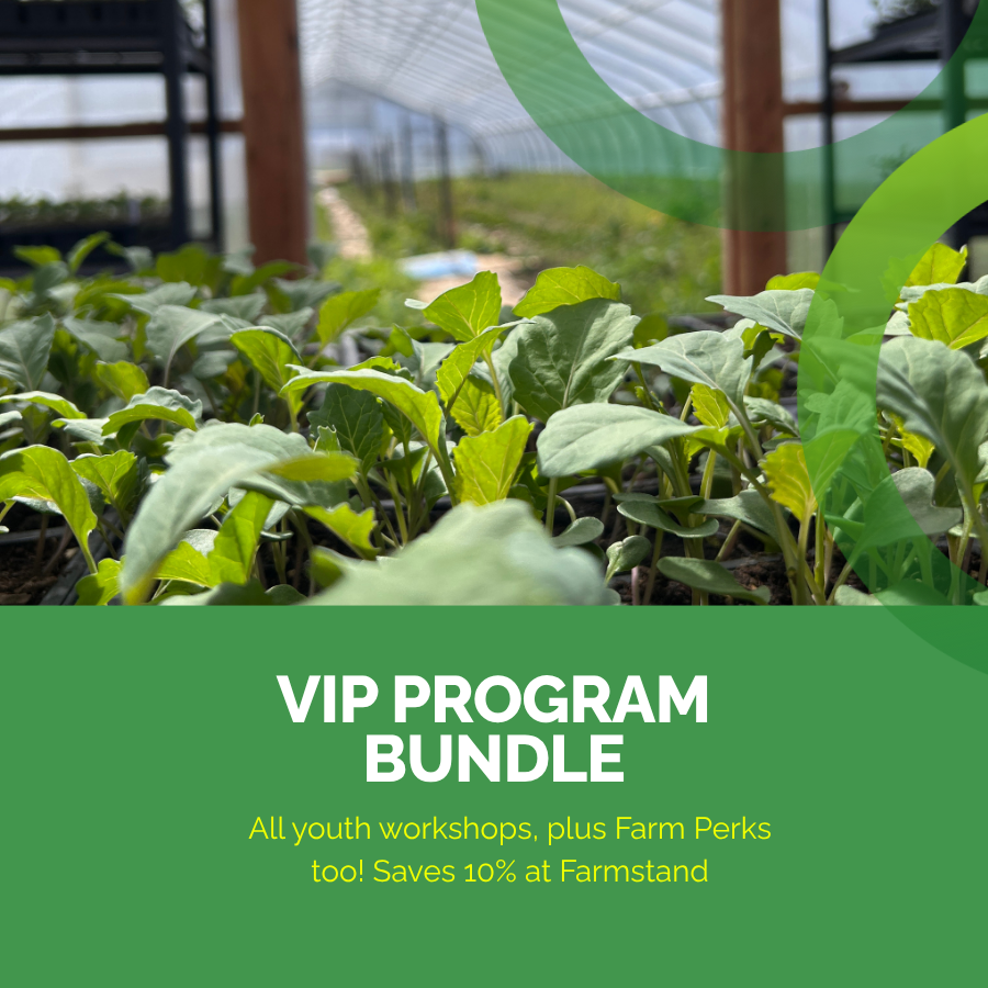 VIP Program bundle.png