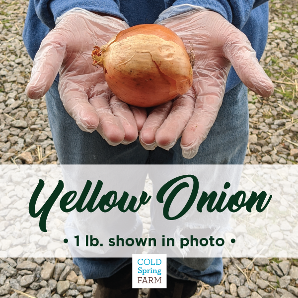 Instagram_YellowOnion1LBFood.png